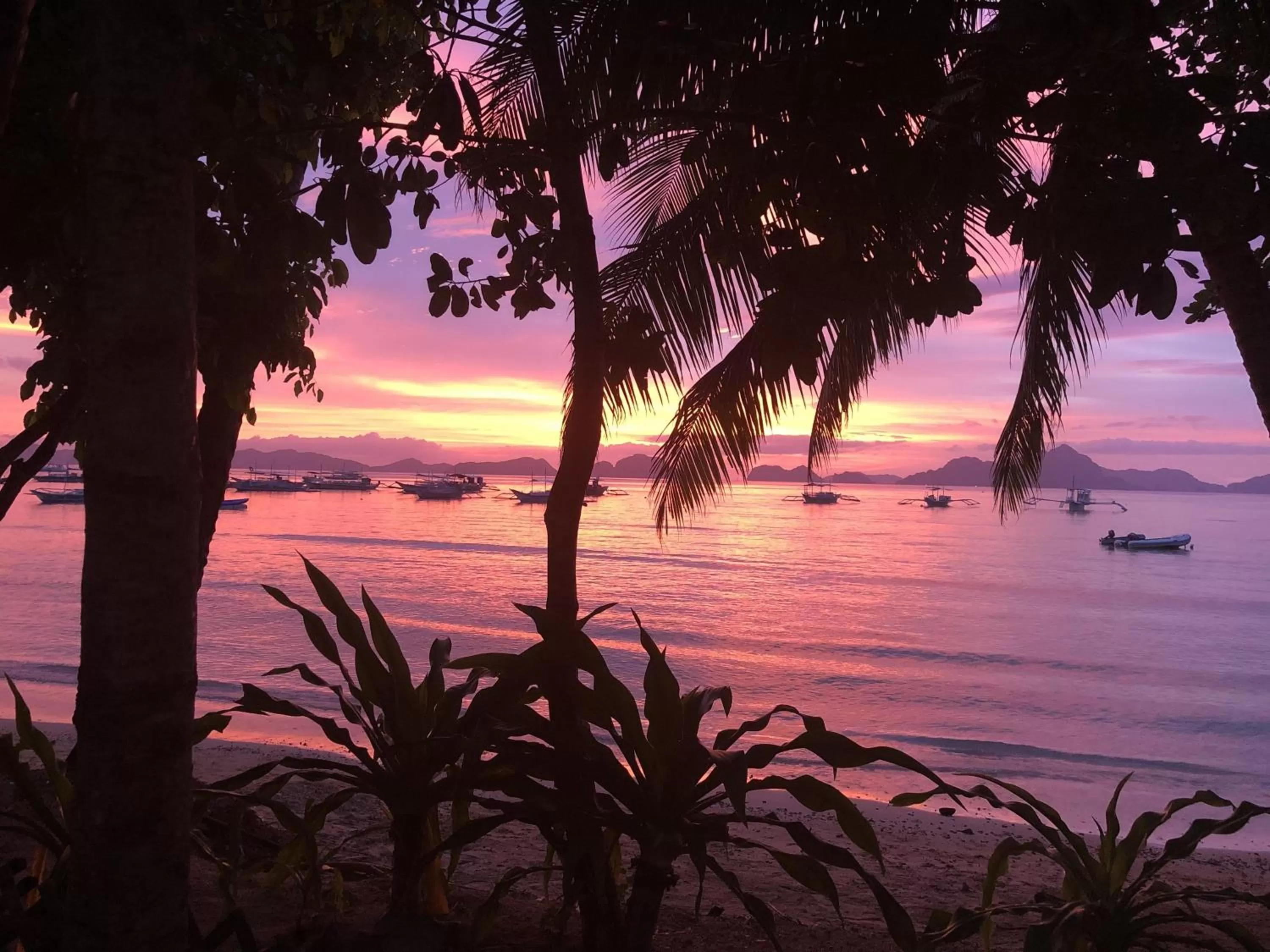 Natural landscape in Mahogany Resort & Spa