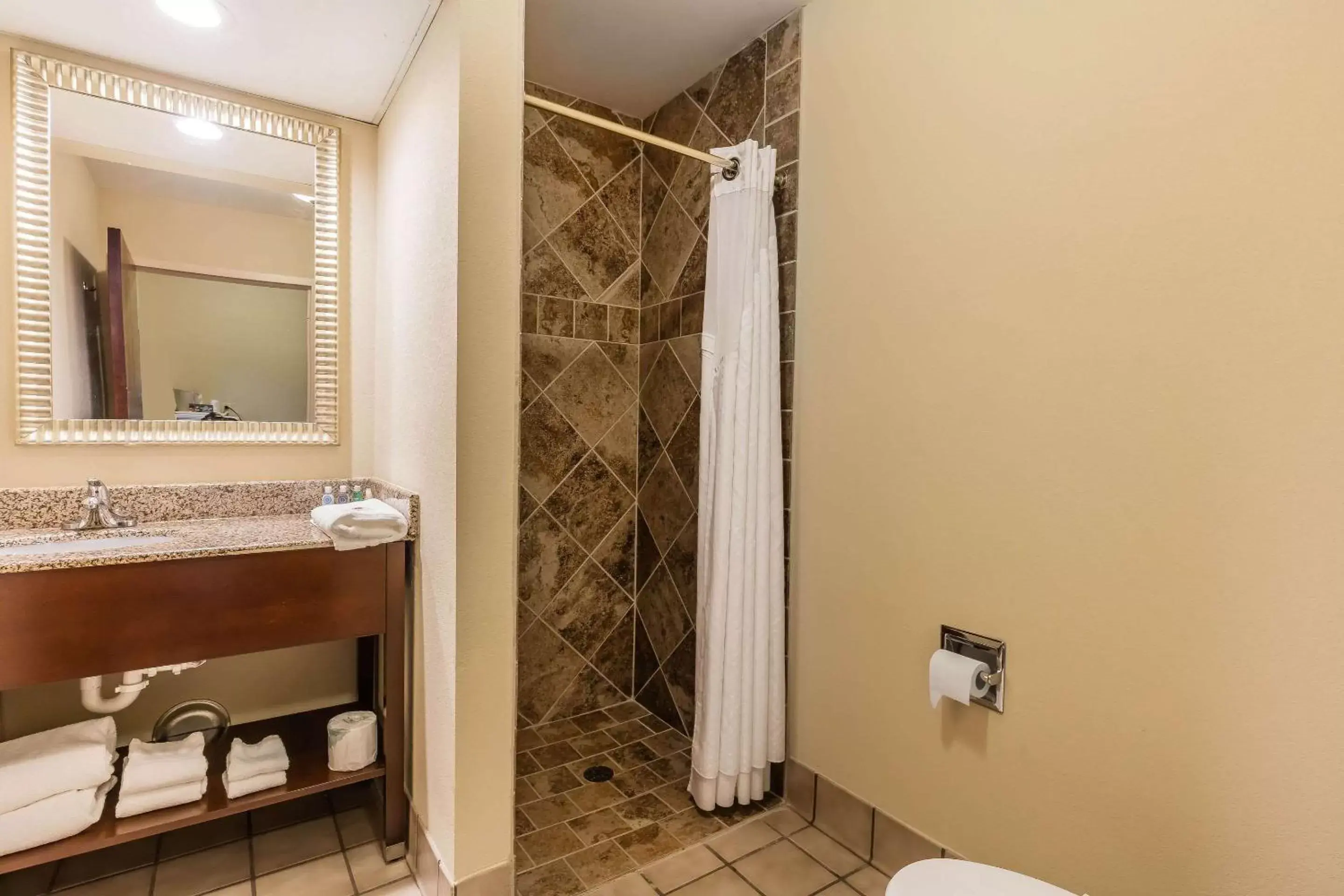 Photo of the whole room, Bathroom in Comfort Inn & Suites Jasper Hwy 78 West