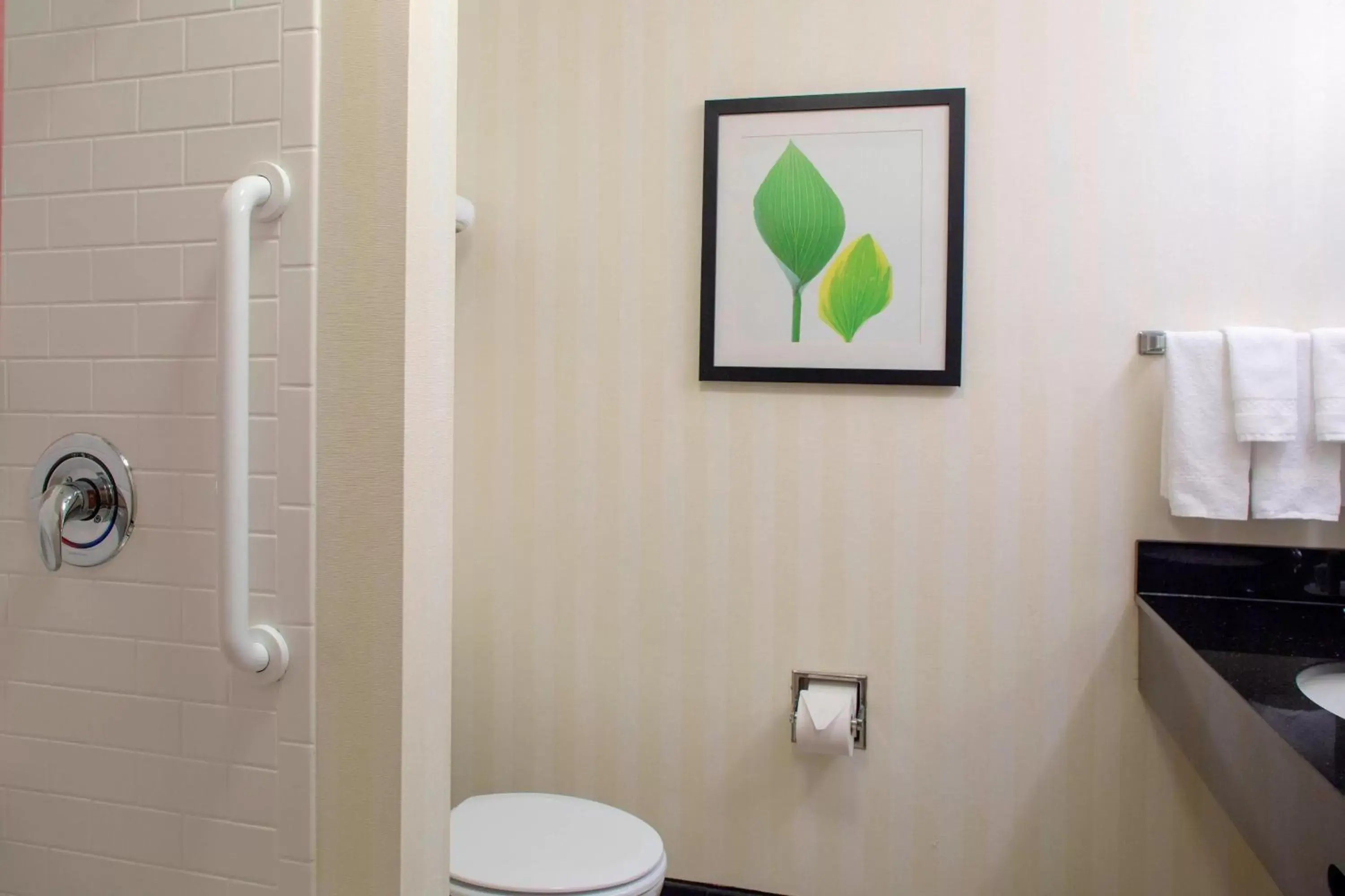 Bathroom in Fairfield Inn and Suites by Marriott Gadsden