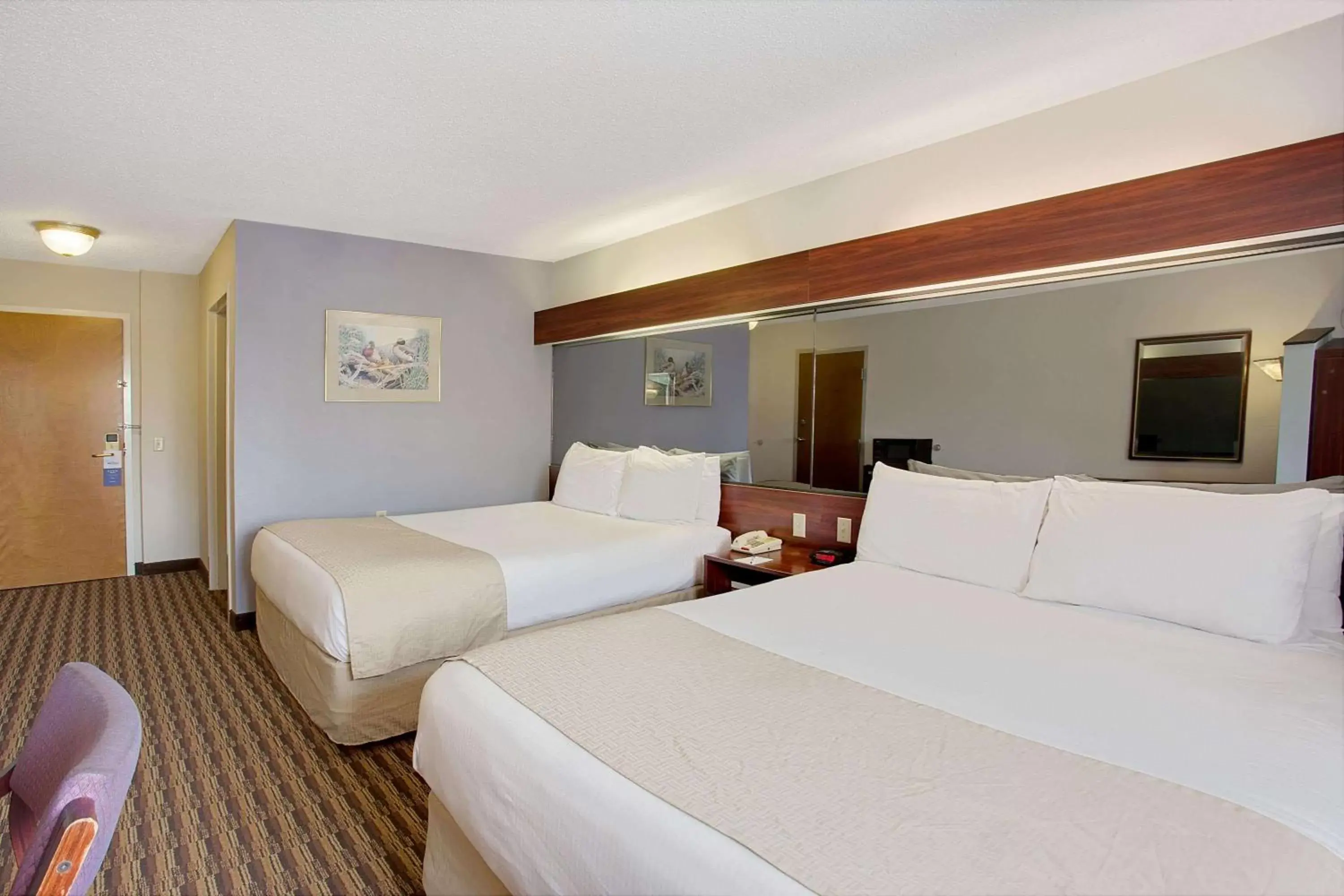 Photo of the whole room, Bed in Microtel Inn by Wyndham - Murfreesboro