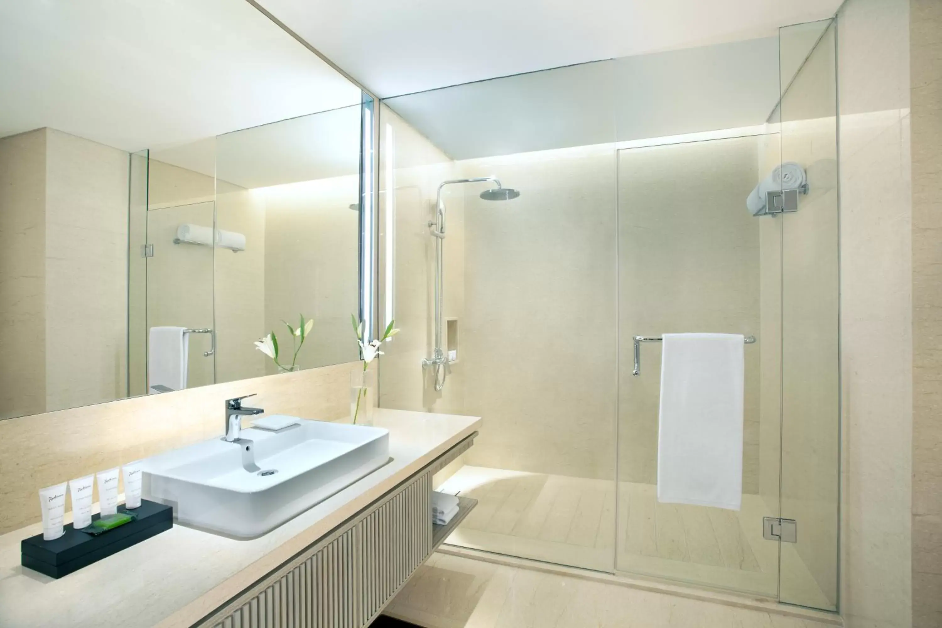 Bathroom in Radisson Lampung Kedaton