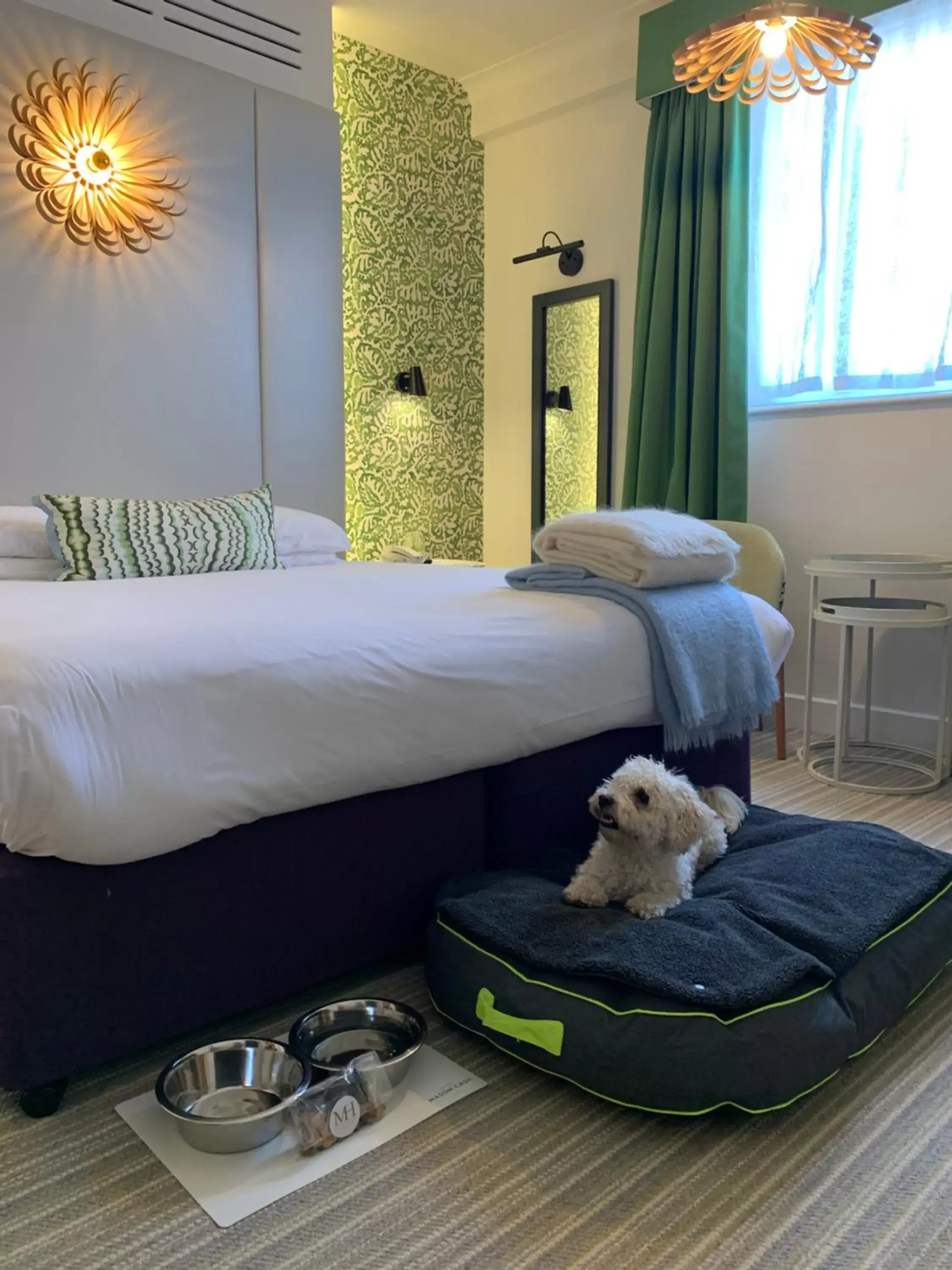 Deluxe Double Room - Dog Friendly in The Maids Head Hotel