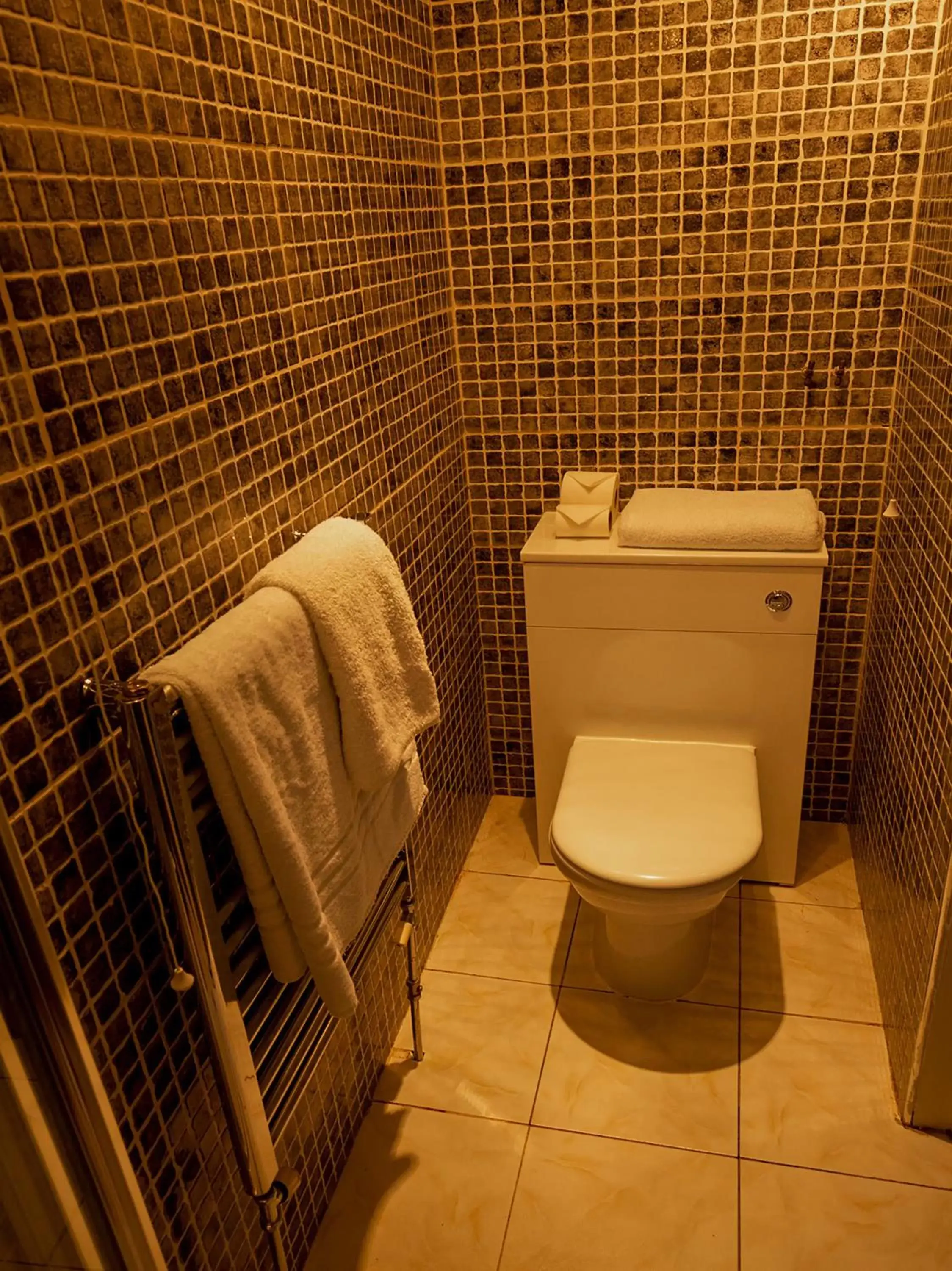 Toilet, Bathroom in OYO Lamphey Hall Hotel