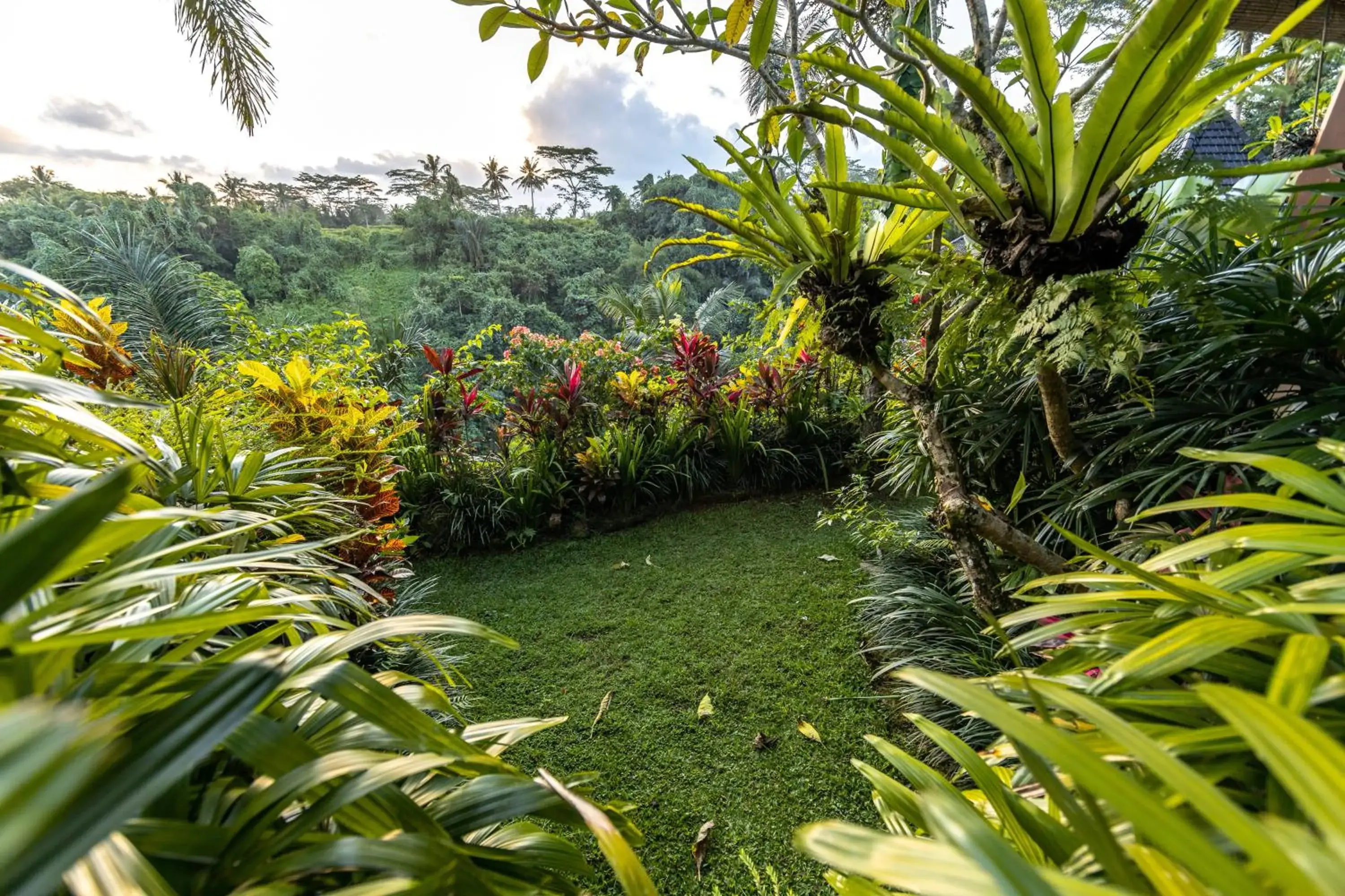Mountain view, Garden in Bidadari Private Villas & Retreat