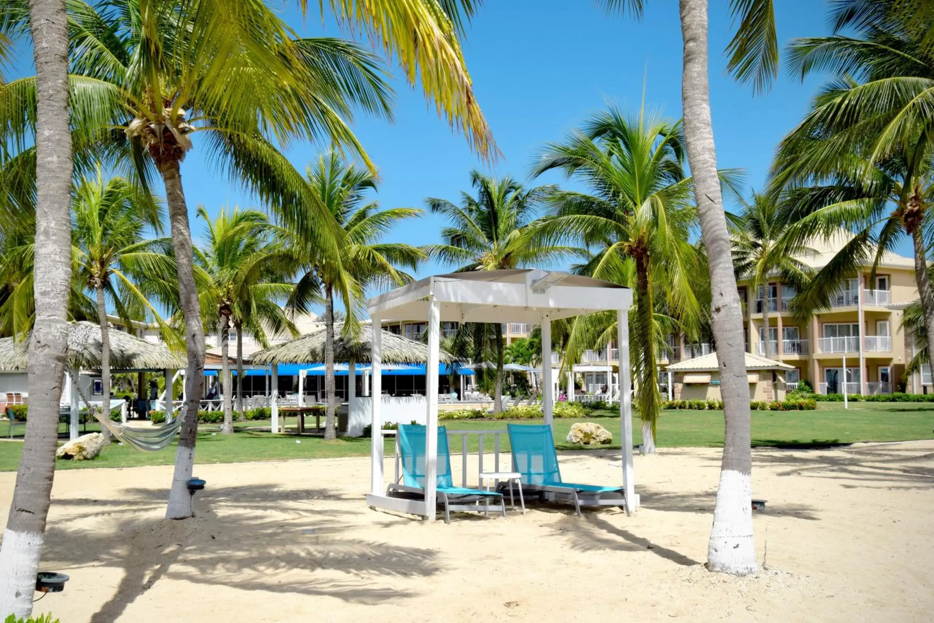 Beach in Holiday Inn Resort Grand Cayman, an IHG Hotel