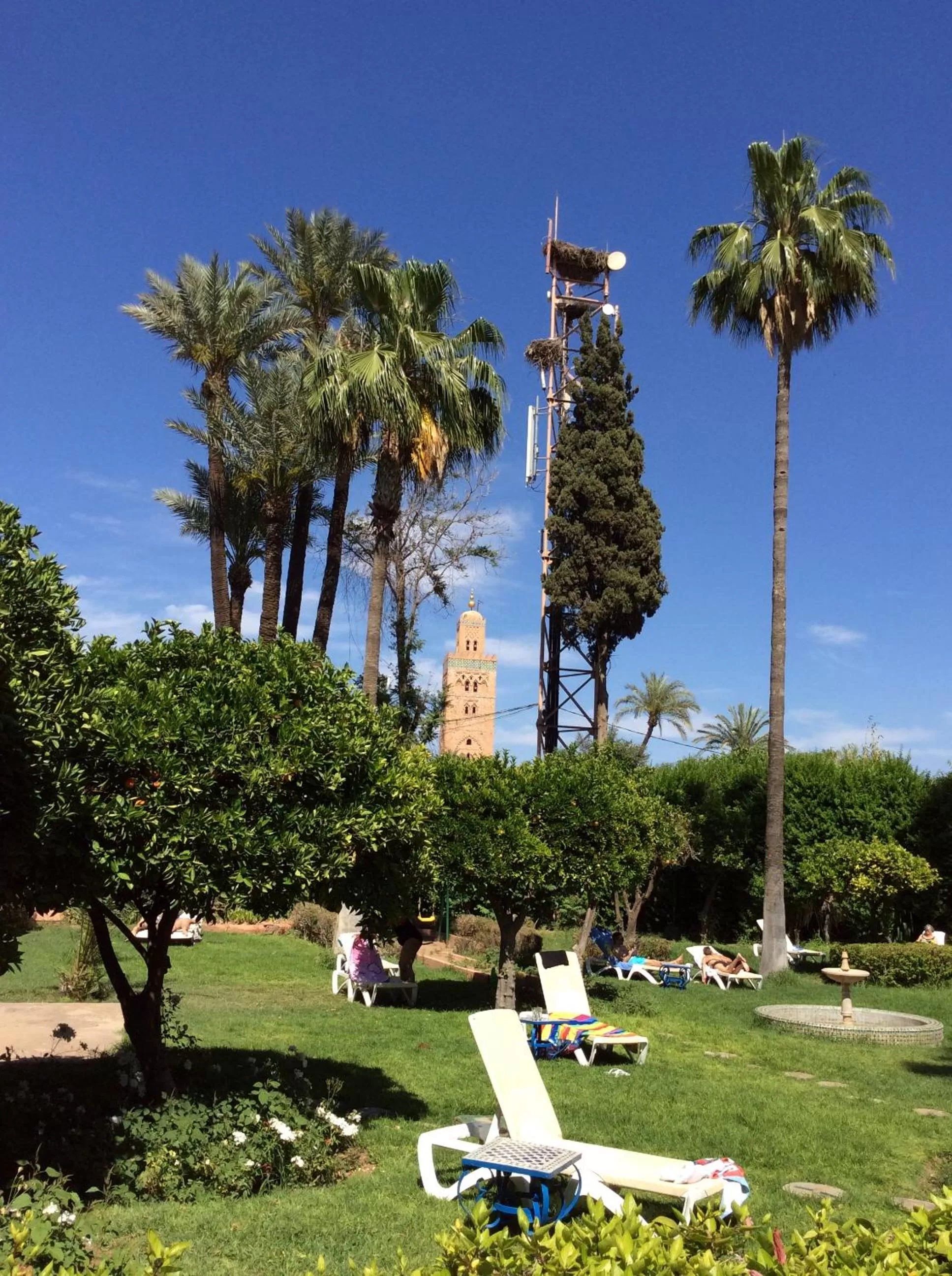 Garden in Chems Hotel