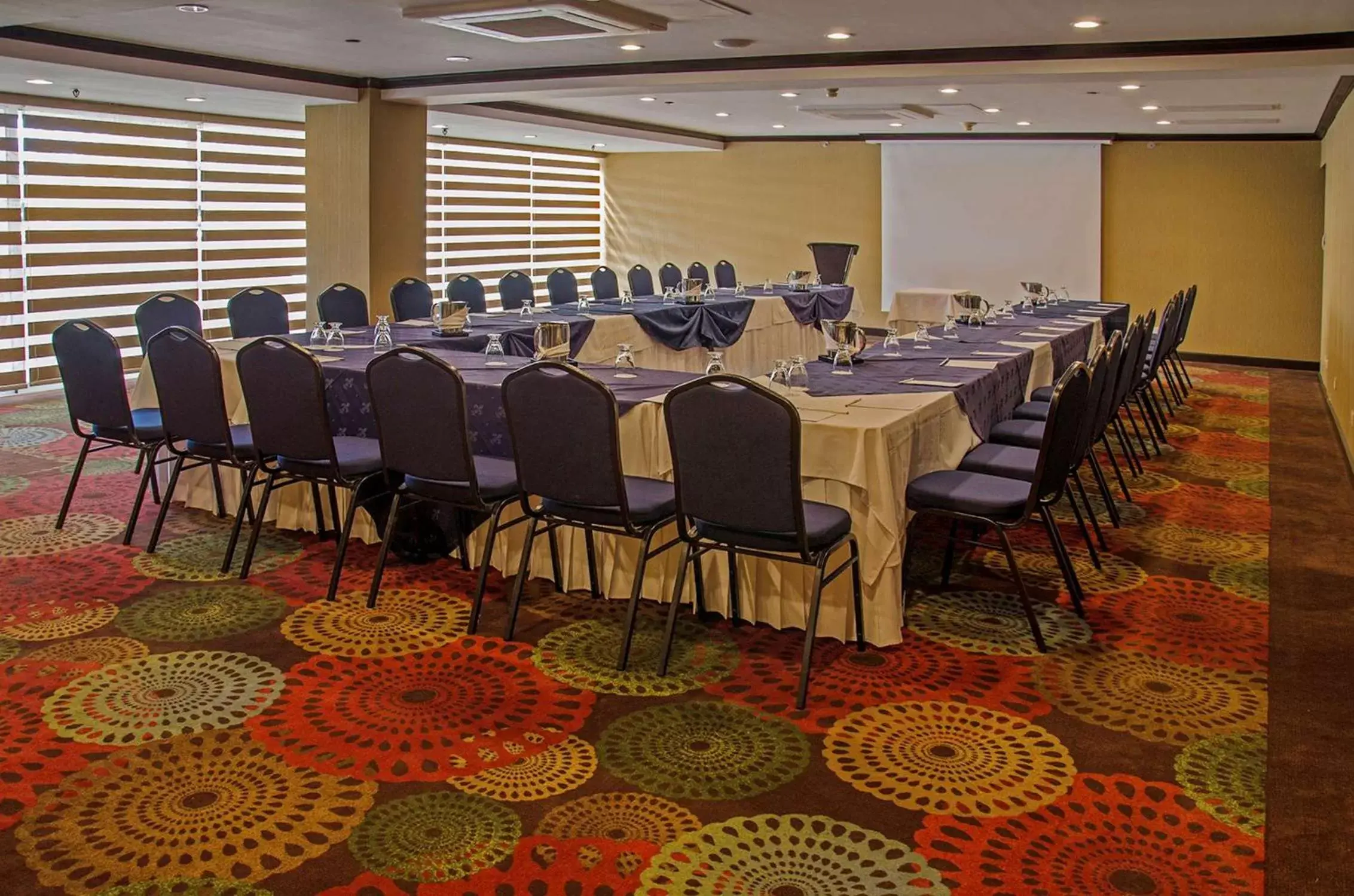 Meeting/conference room in Hilton Garden Inn Guatemala City