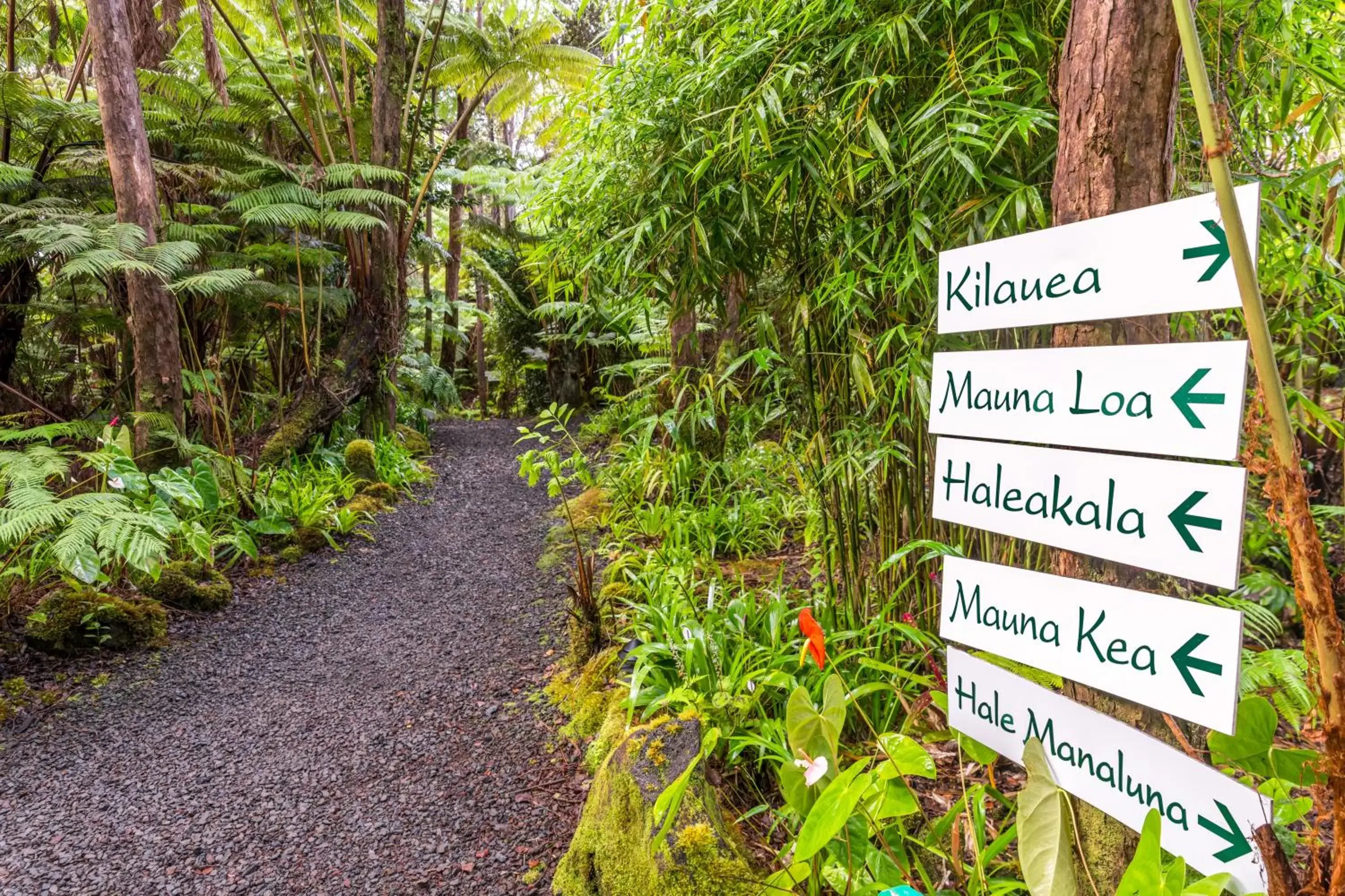 Property logo or sign, Logo/Certificate/Sign/Award in Volcano Village Lodge