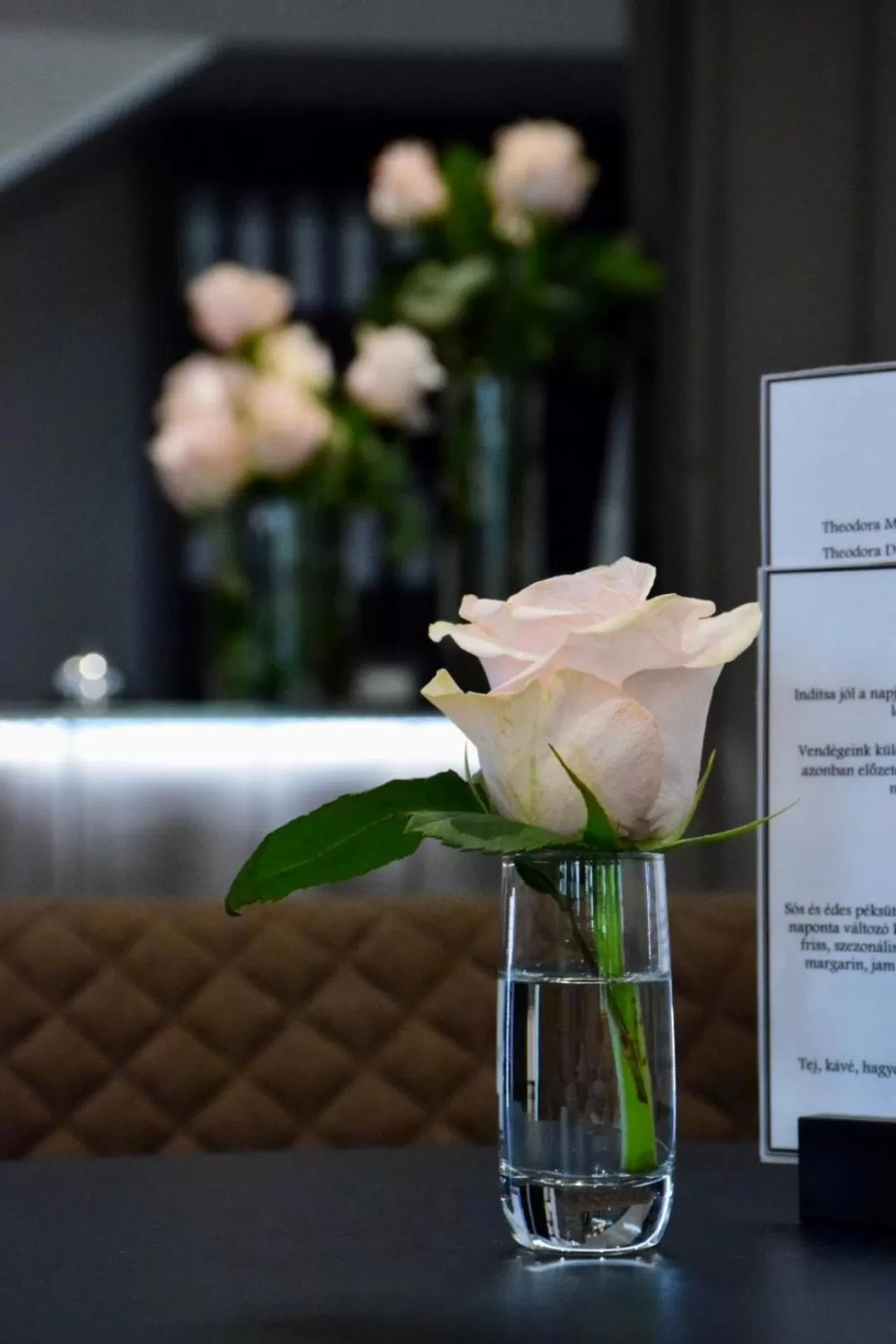 Property building in Hotel Lotus