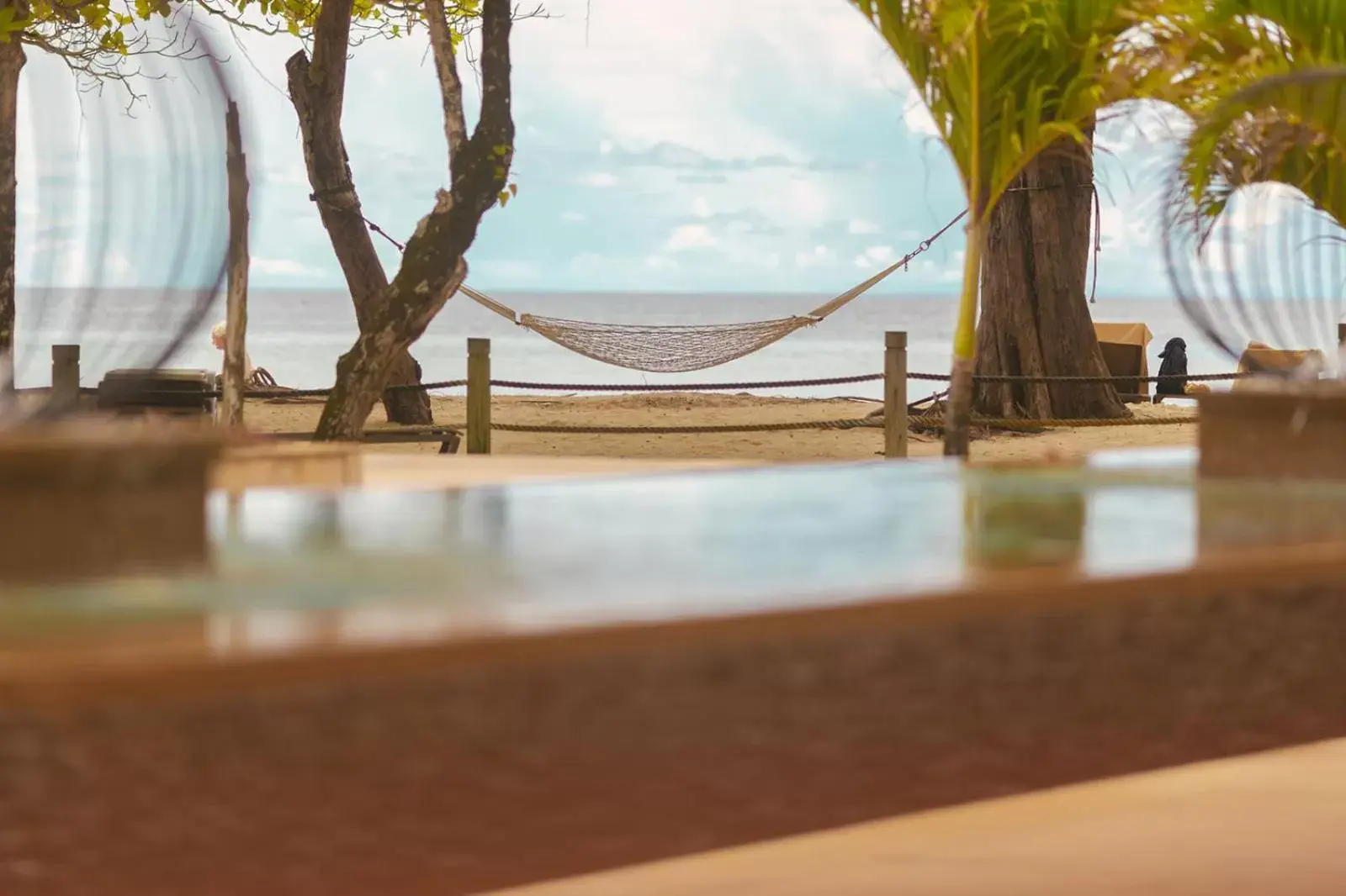 Beach, Swimming Pool in STORY Seychelles