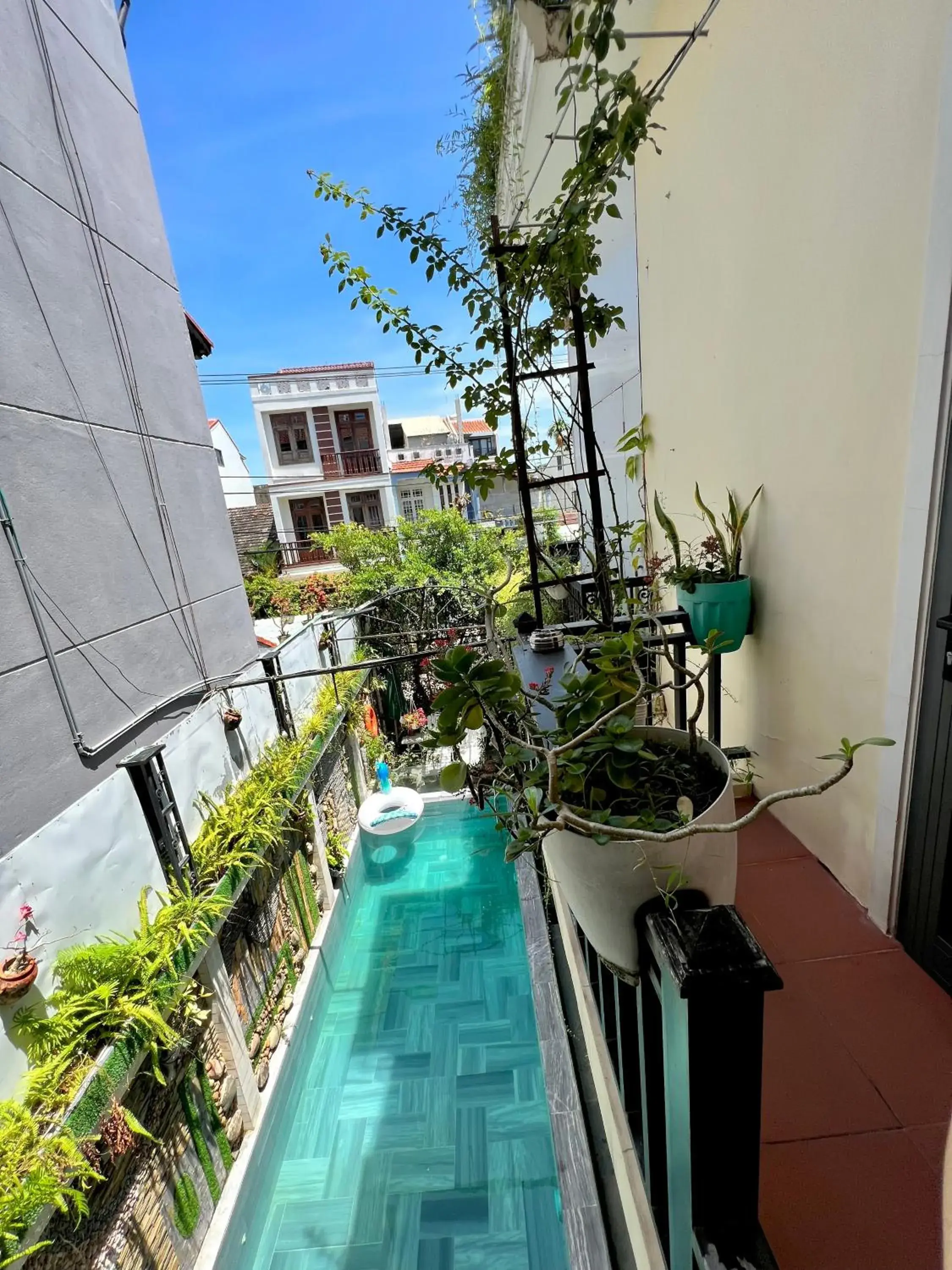 Day, Pool View in Hoi An Ngo Homestay