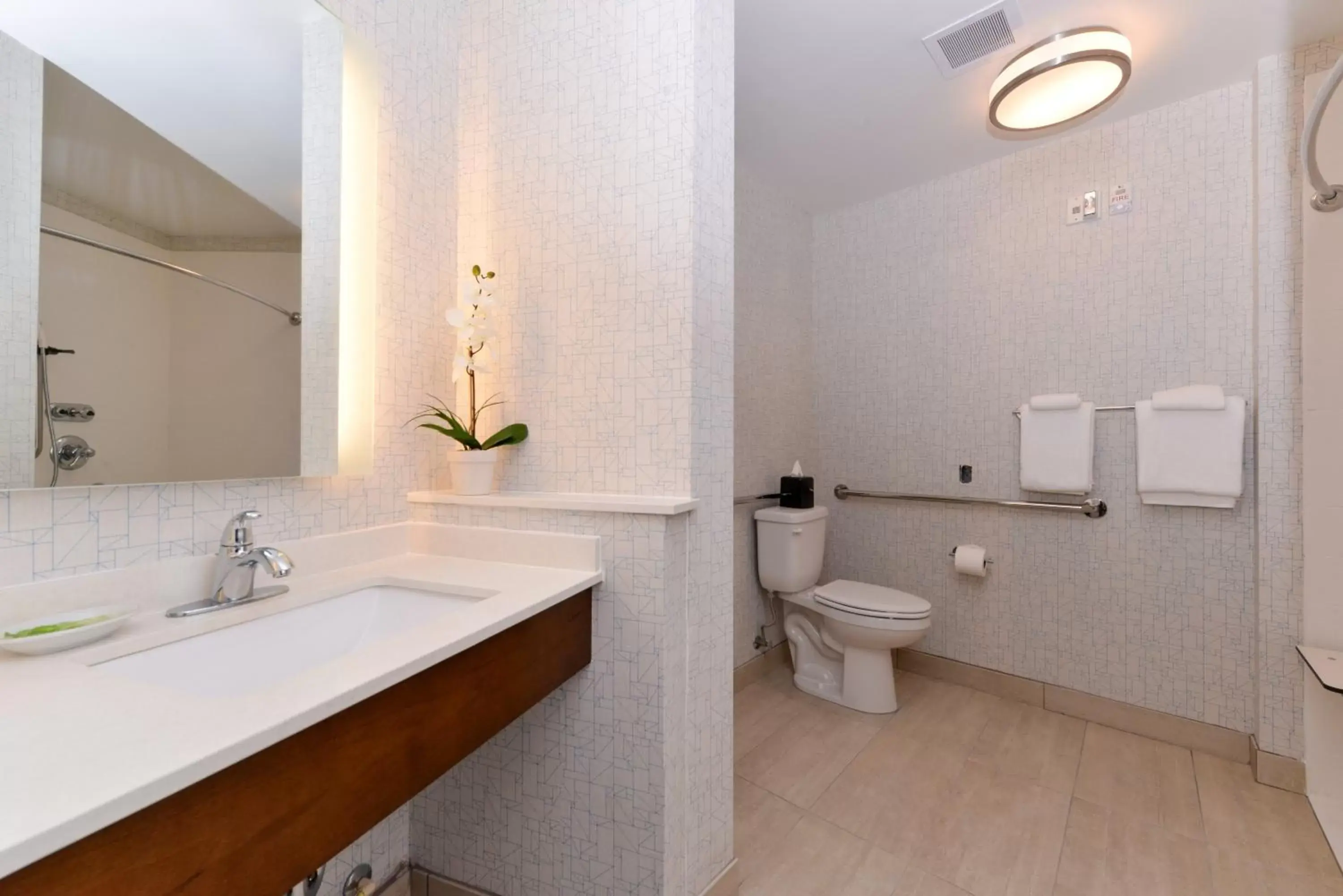 Bathroom in Holiday Inn Express & Suites - St. Petersburg - Madeira Beach, an IHG Hotel