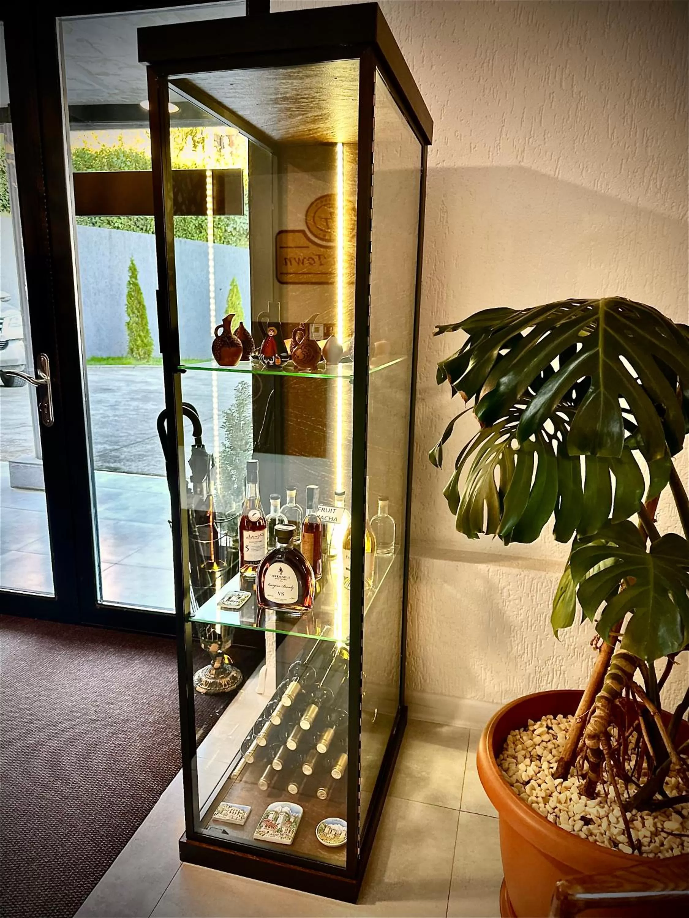 Alcoholic drinks in Hotel Green Town