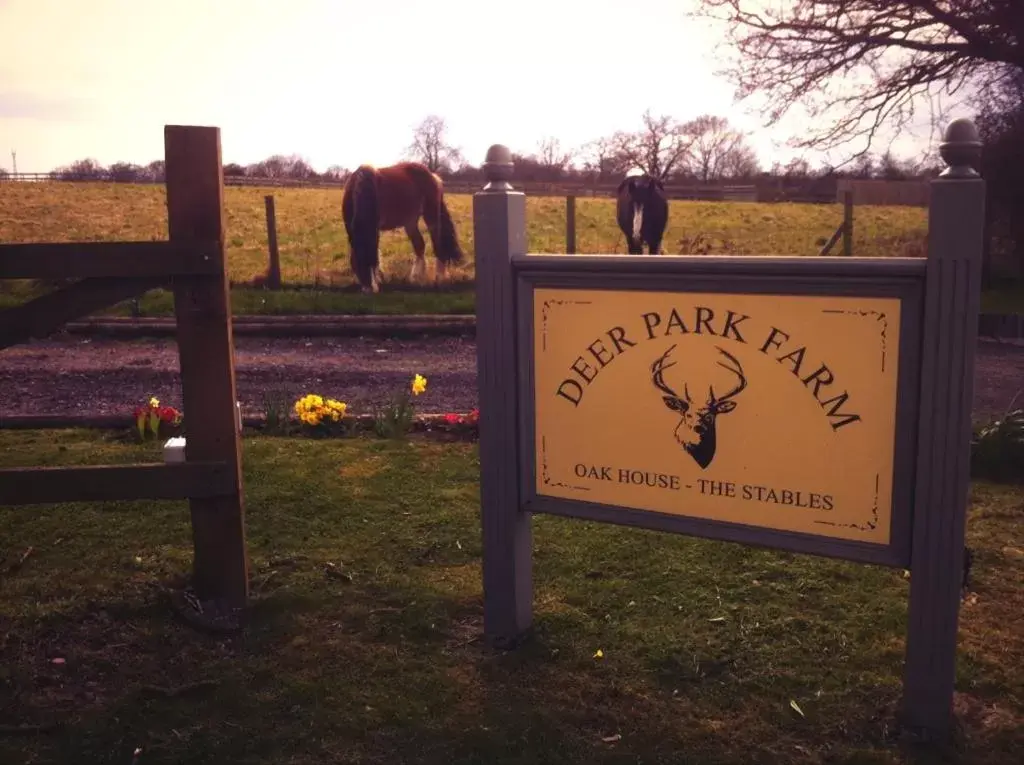 Animals in The Stables - Deer Park Farm