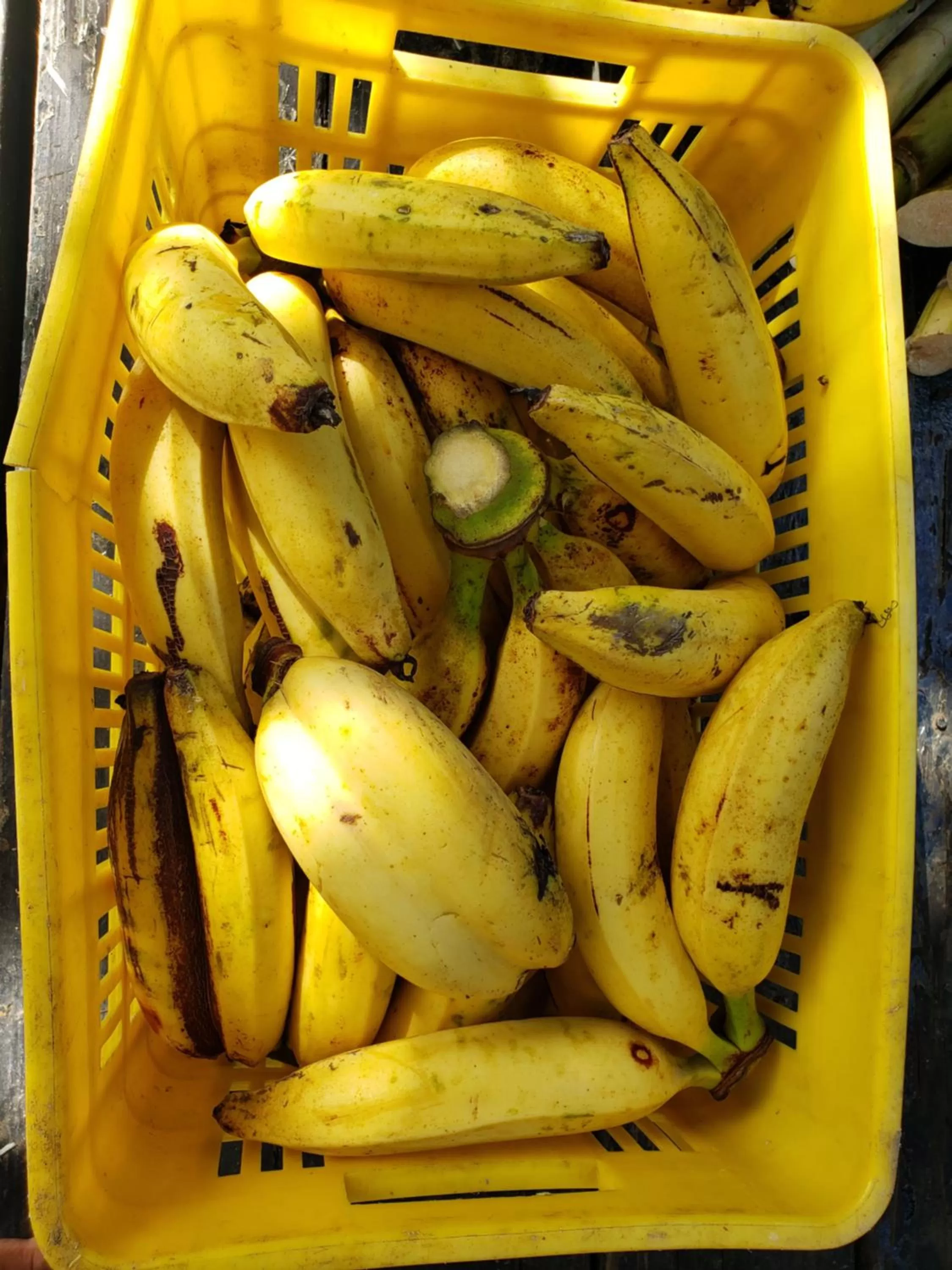 Breakfast in Blue Paloma Bed & Breakfast