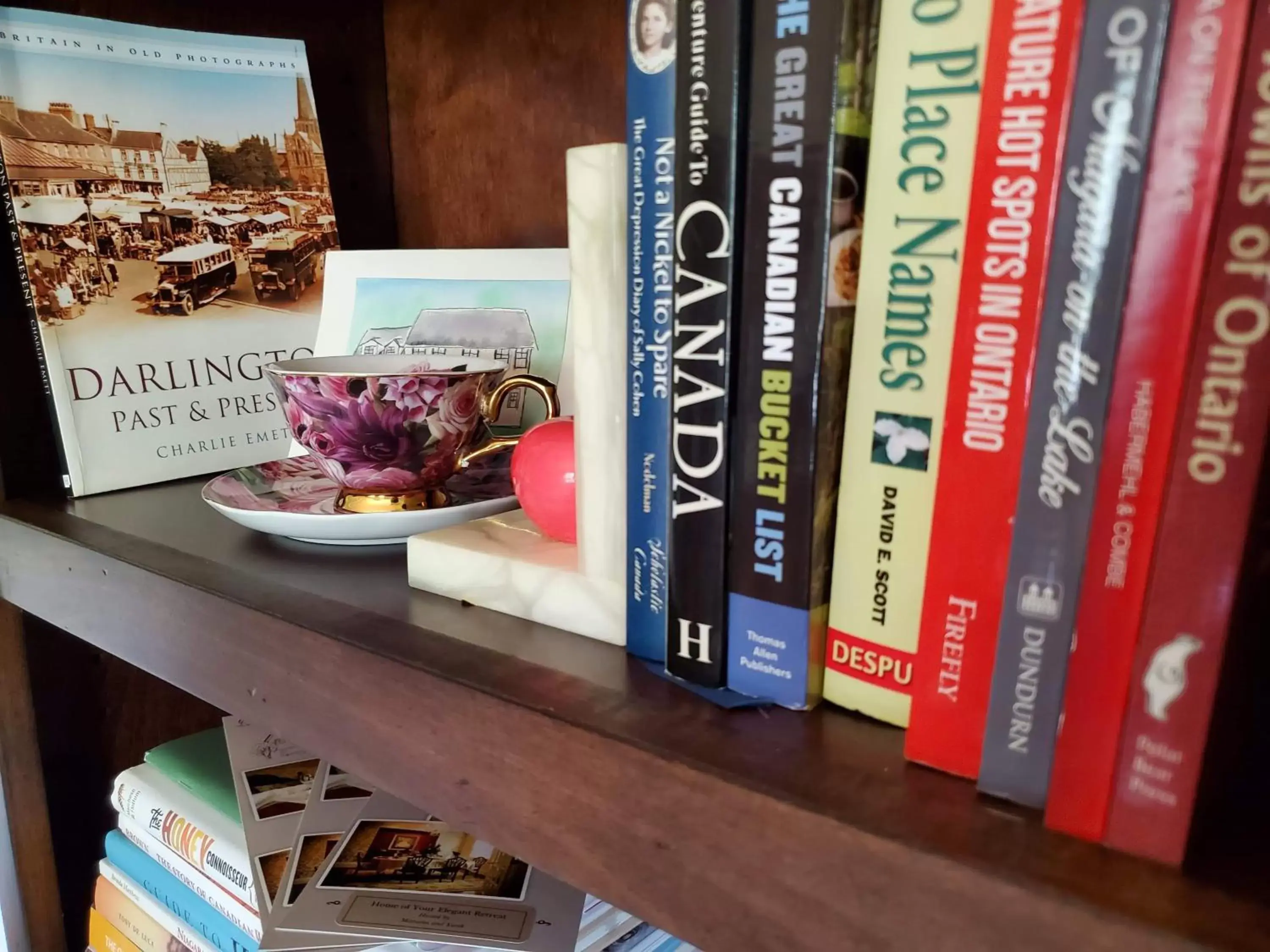 Library in Darlington House Bed and Breakfast