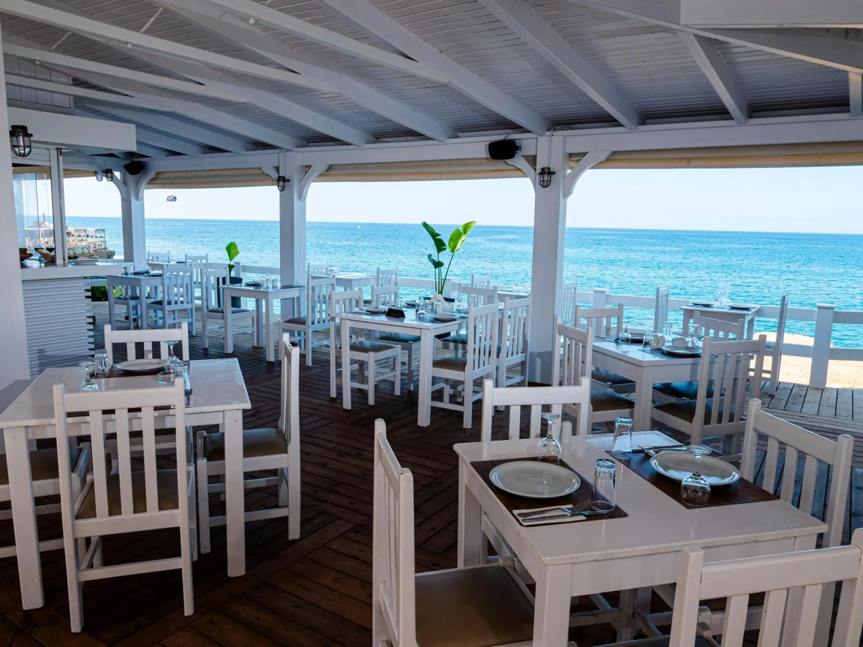 Restaurant/Places to Eat in Elmi Beach Hotel & Suites