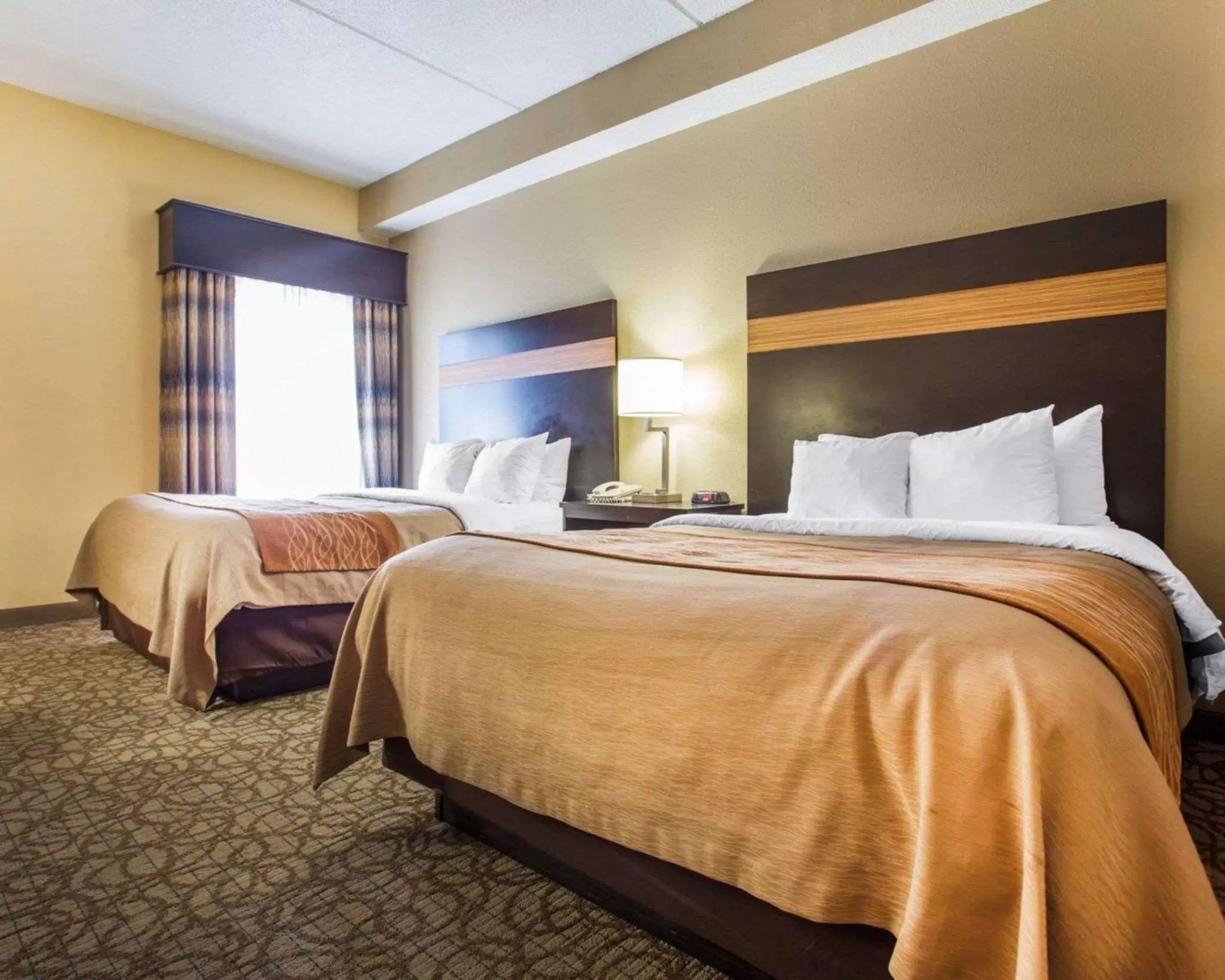 Photo of the whole room, Bed in Comfort Inn & Suites at Stone Mountain