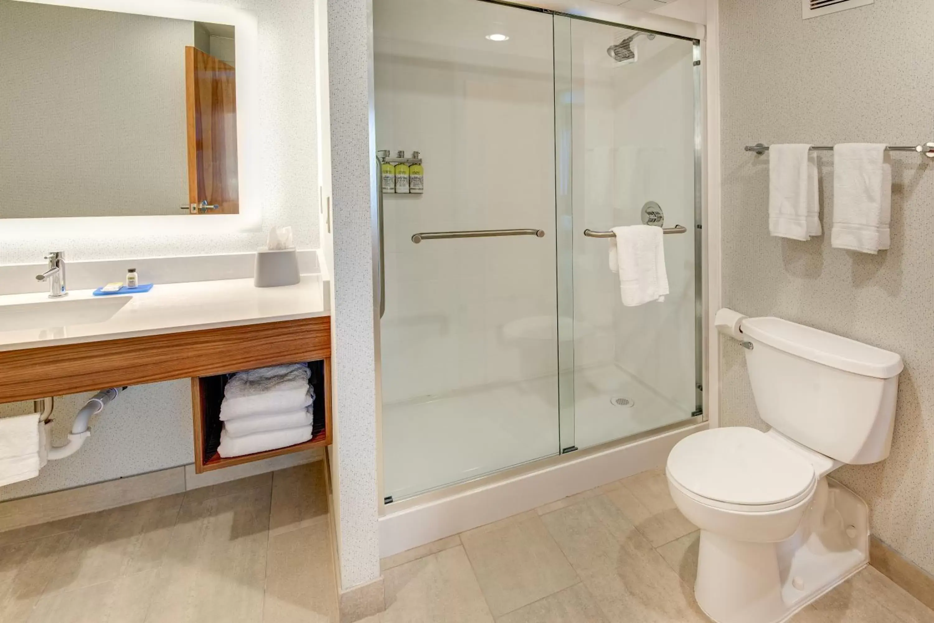 Shower, Bathroom in Holiday Inn Express & Suites West Long Branch - Eatontown, an IHG Hotel