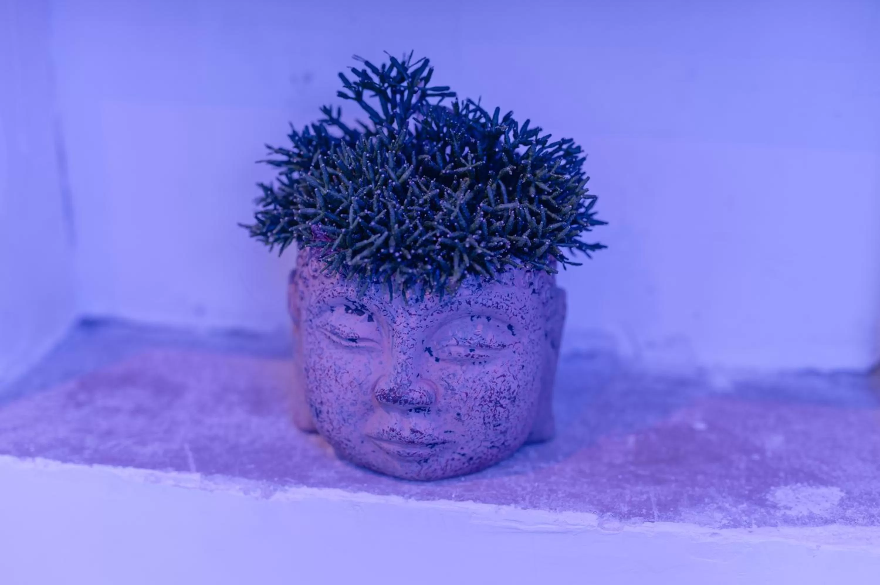 hair dresser in Le Porte di Partenope