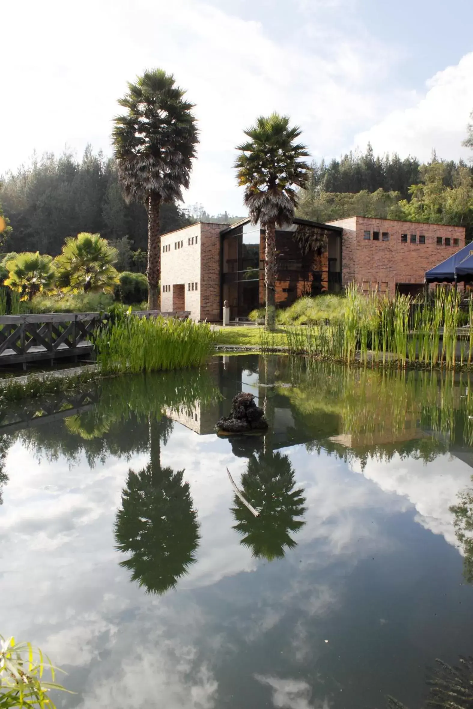 View (from property/room) in Estelar Recinto Del Pensamiento Hotel Y Centro De Convenciones View (from property/room) in Estelar Recinto Del Pensamiento Hotel Y Centro De Convenciones