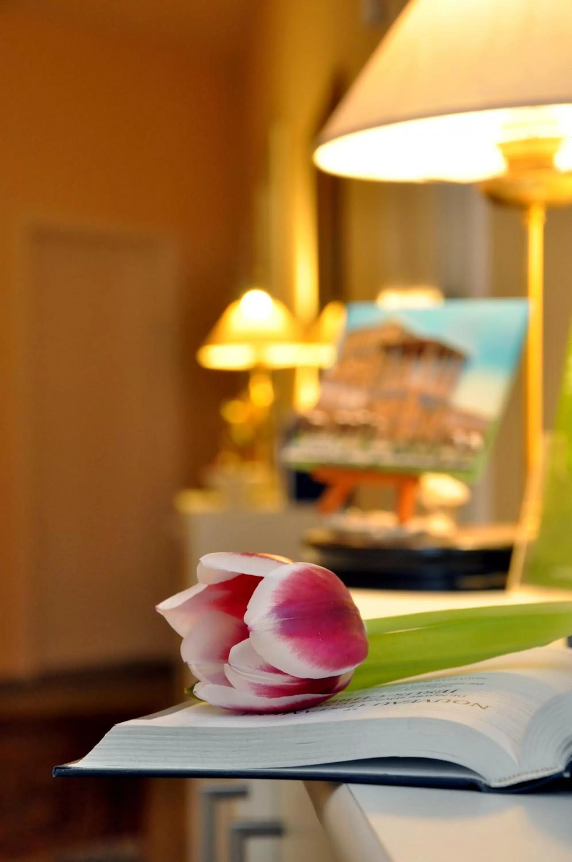 Decorative detail in Hotel Apadana Frankfurt