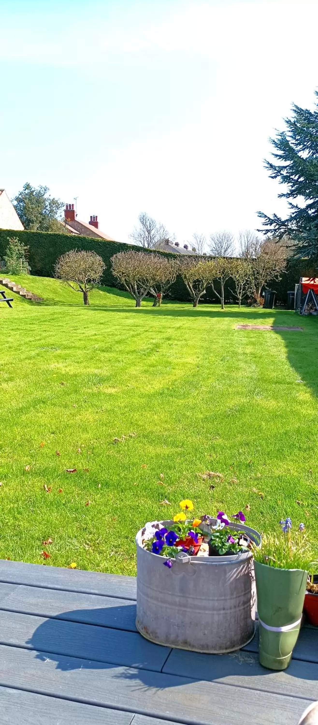 Garden view, Garden in The Wood Cottage