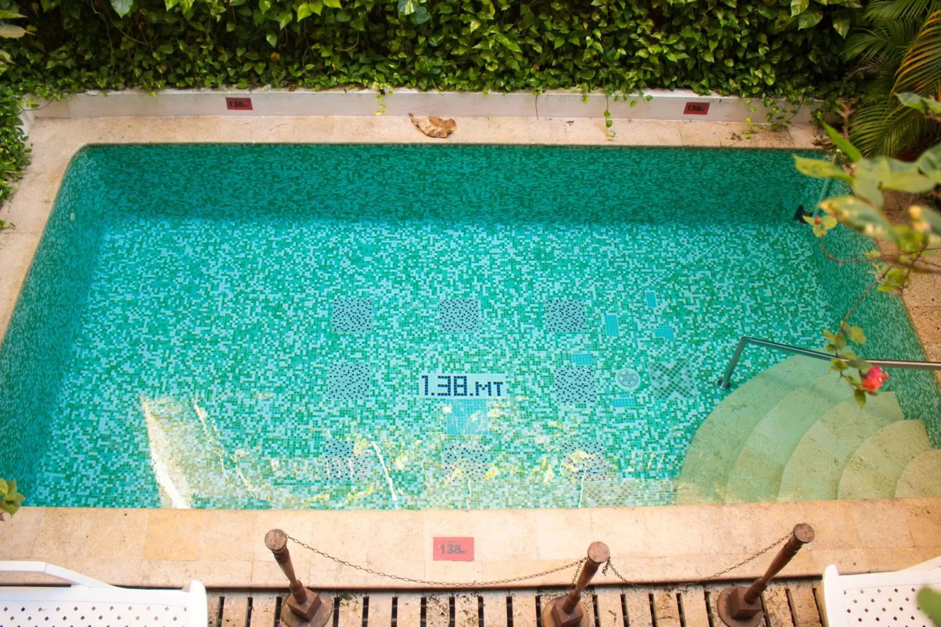 Garden, Pool View in Hotel Don Pedro De Heredia