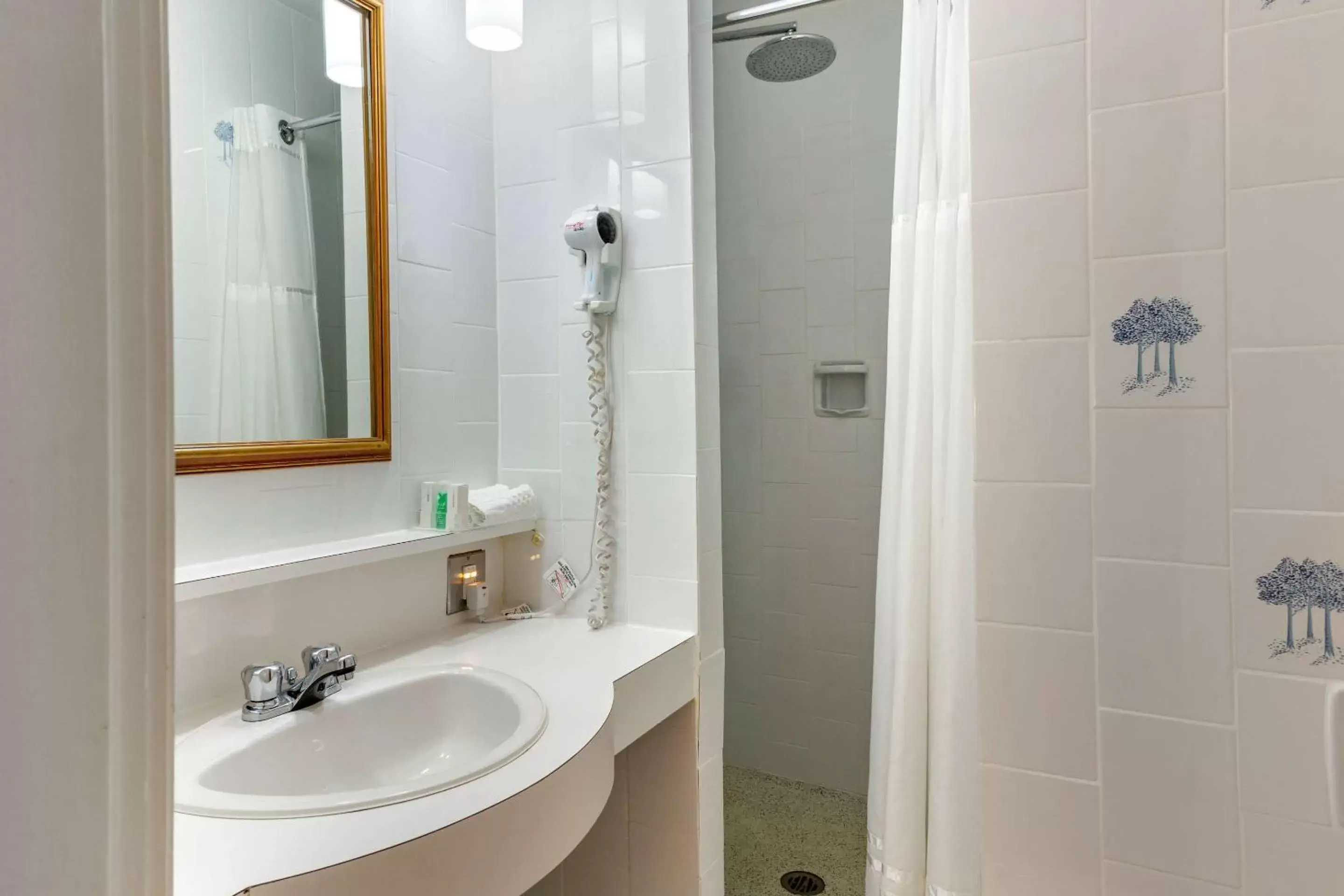 Bathroom in The Fort Garry Hotel, Spa and Conference Centre, Ascend Hotel Collection