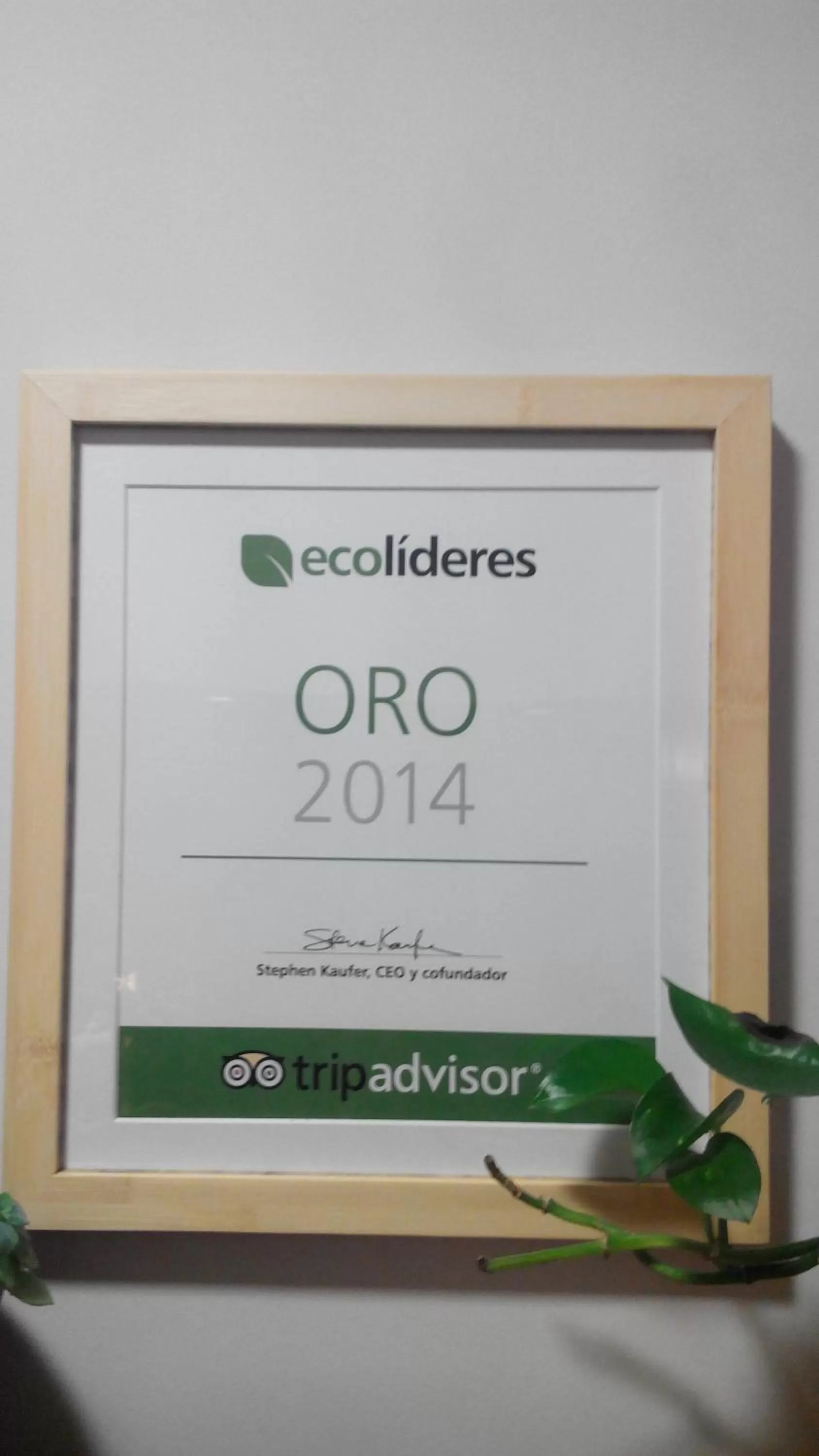 Lobby or reception in Hotel Ecologico Toral