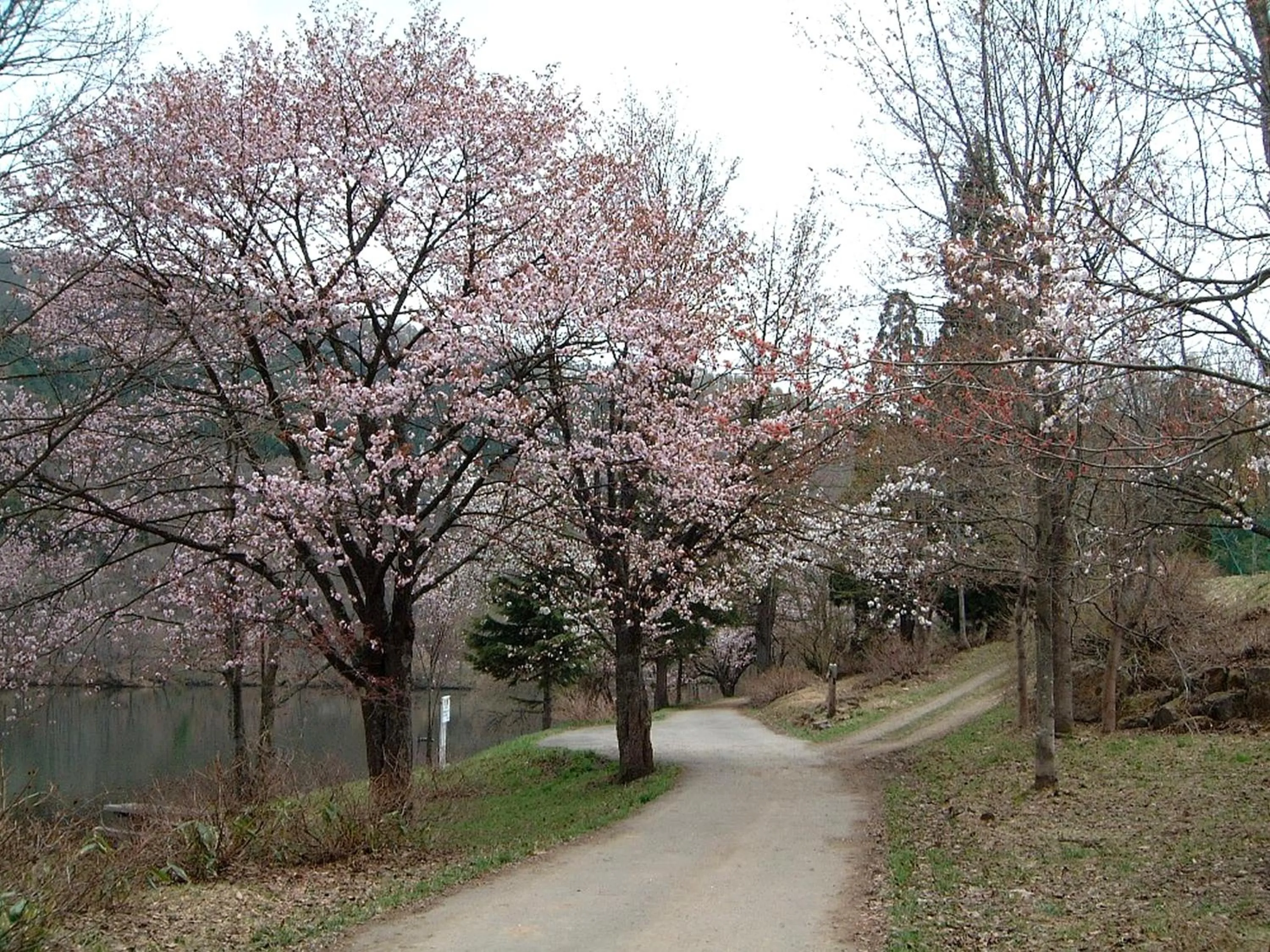 Neighbourhood in Zao Kokusai Hotel
