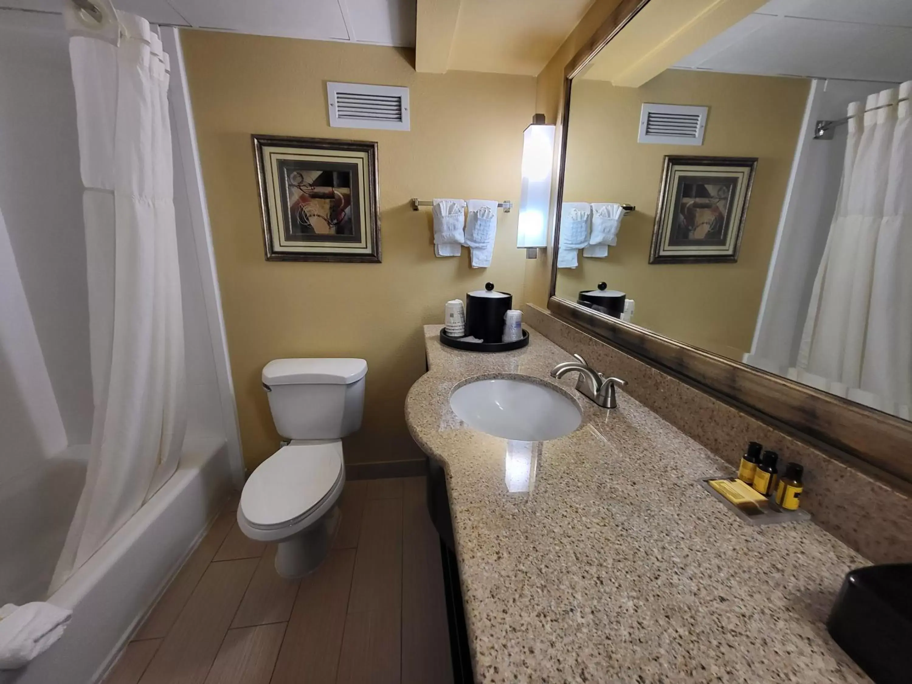 Bathroom in Wingate by Wyndham Greensboro-Coliseum