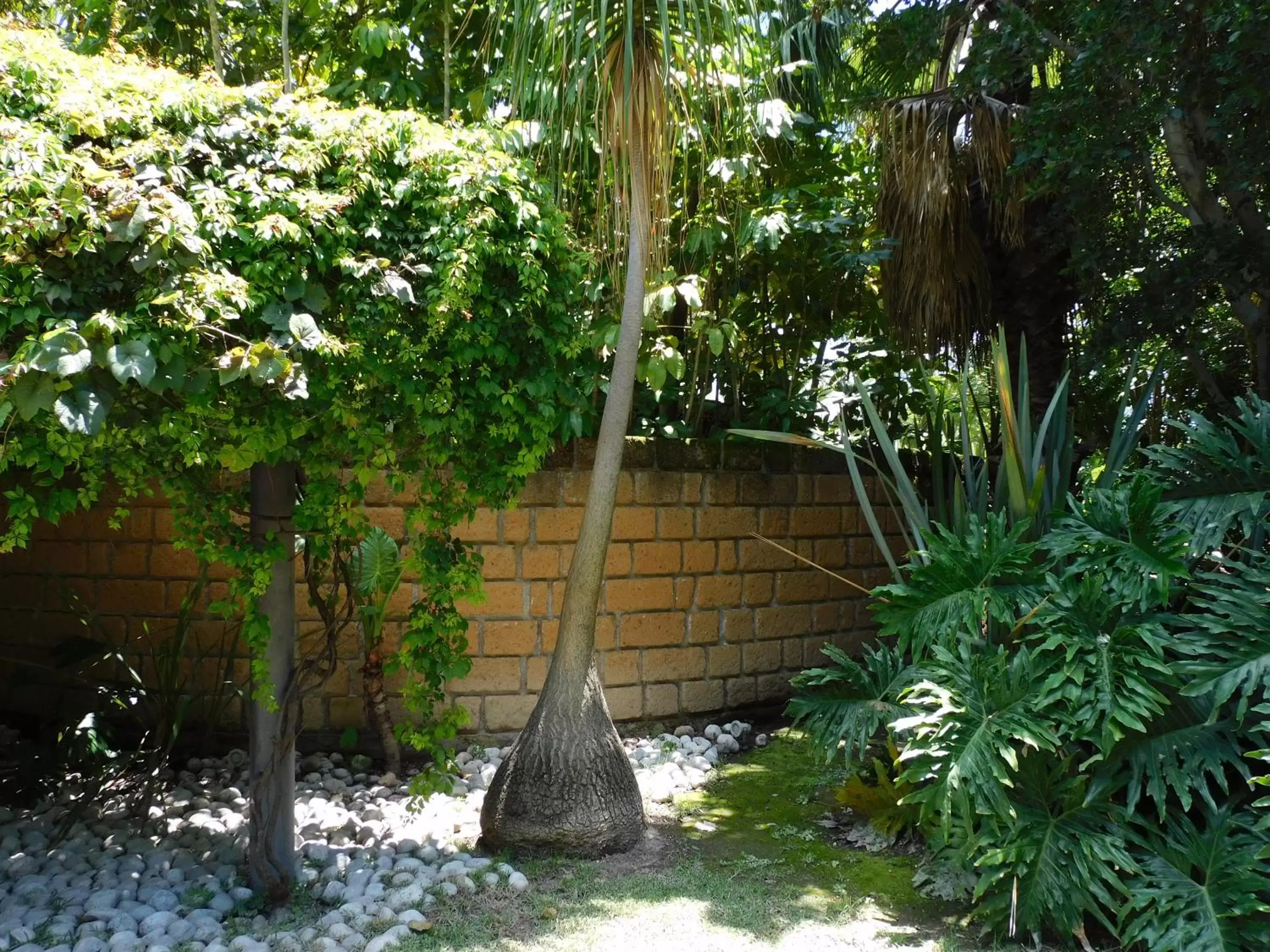 Garden in Hotel & Spa Luna Canela Boutique