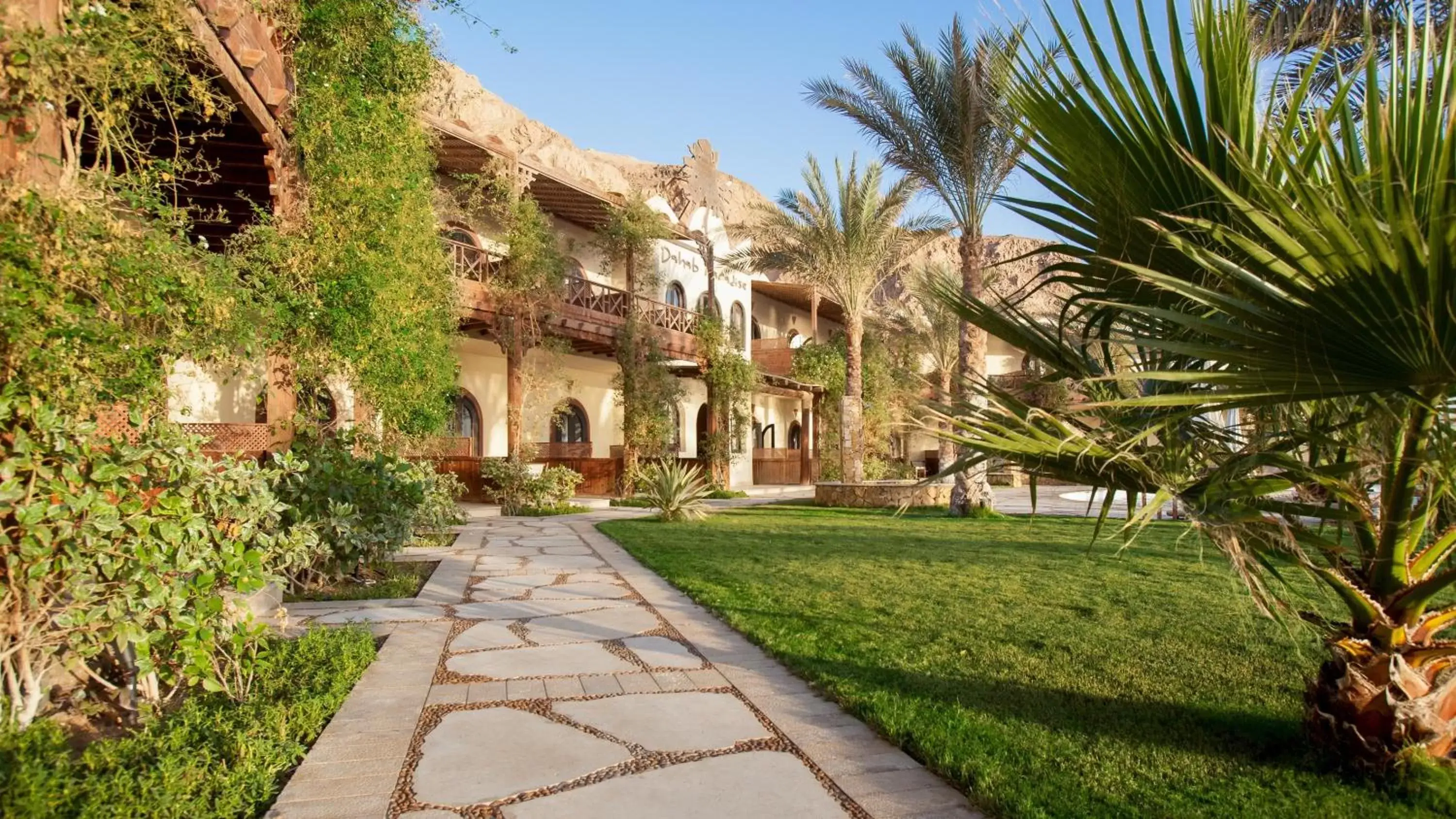 Garden in Dahab Paradise