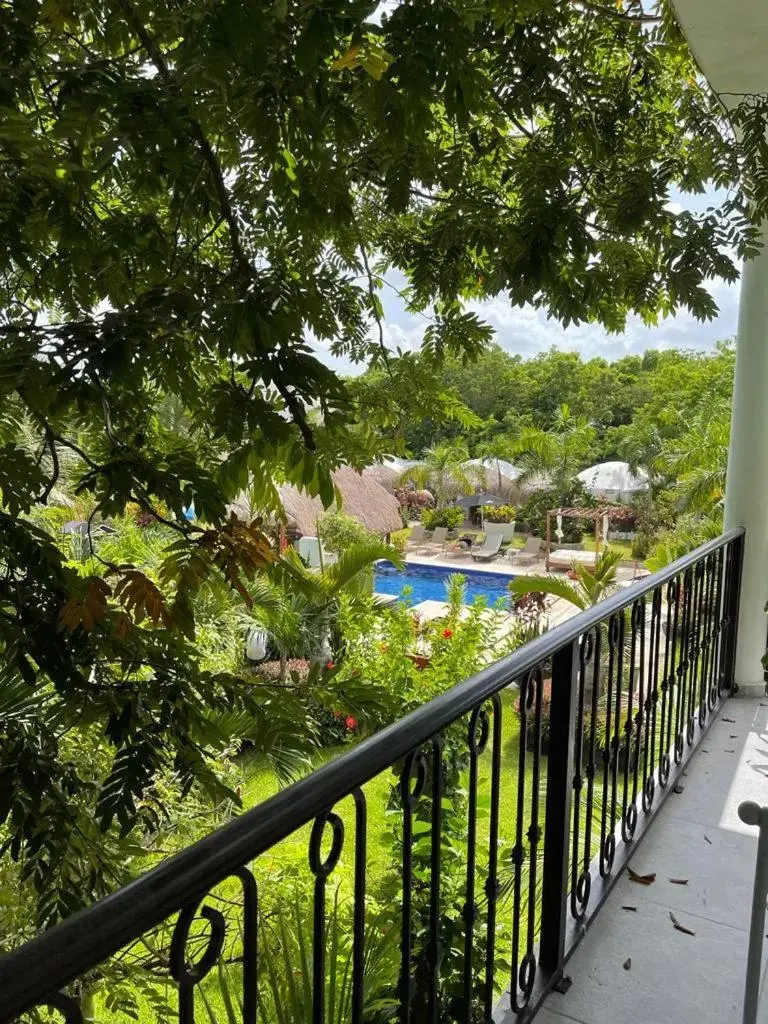 Pool View in Tsaakik Jungle Hotel & Spa