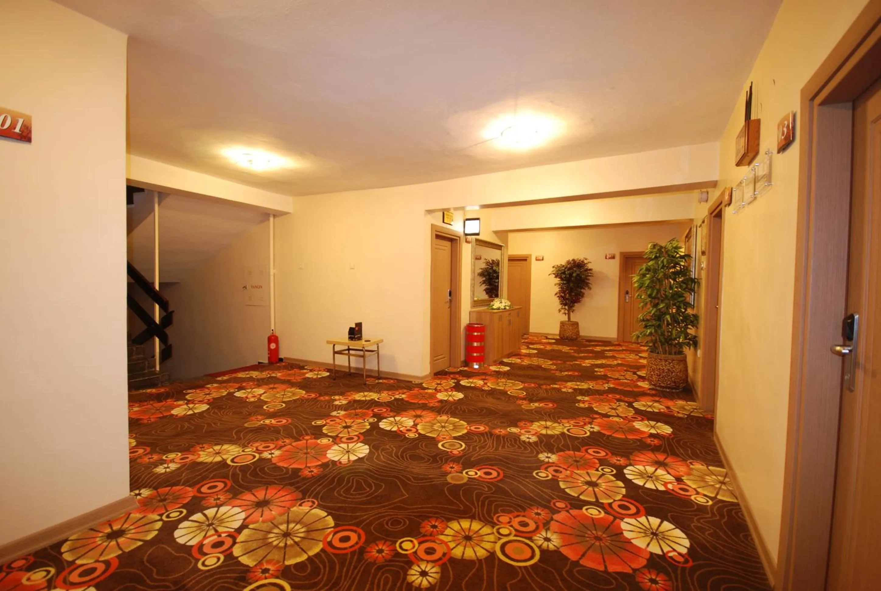 On site in Hotel Mithat