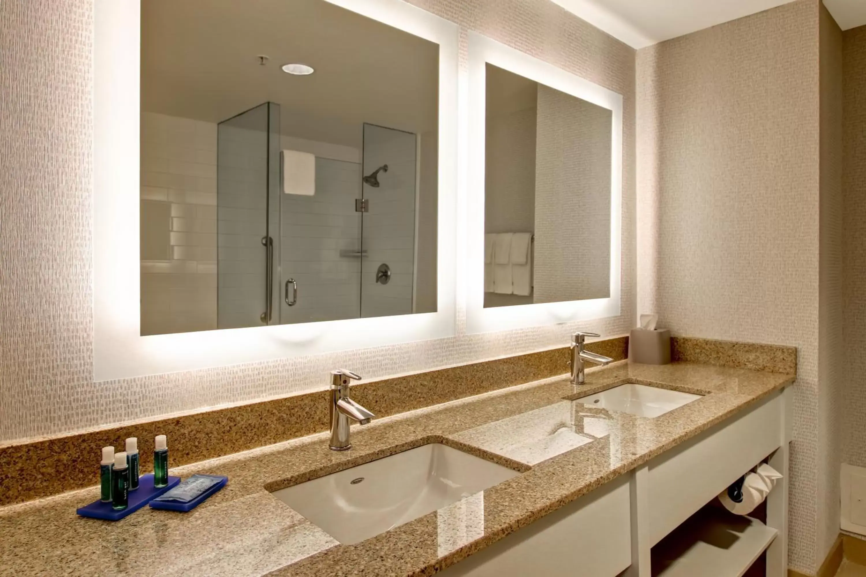 Bathroom in Holiday Inn Express Hotel & Suites Toronto - Markham, an IHG Hotel
