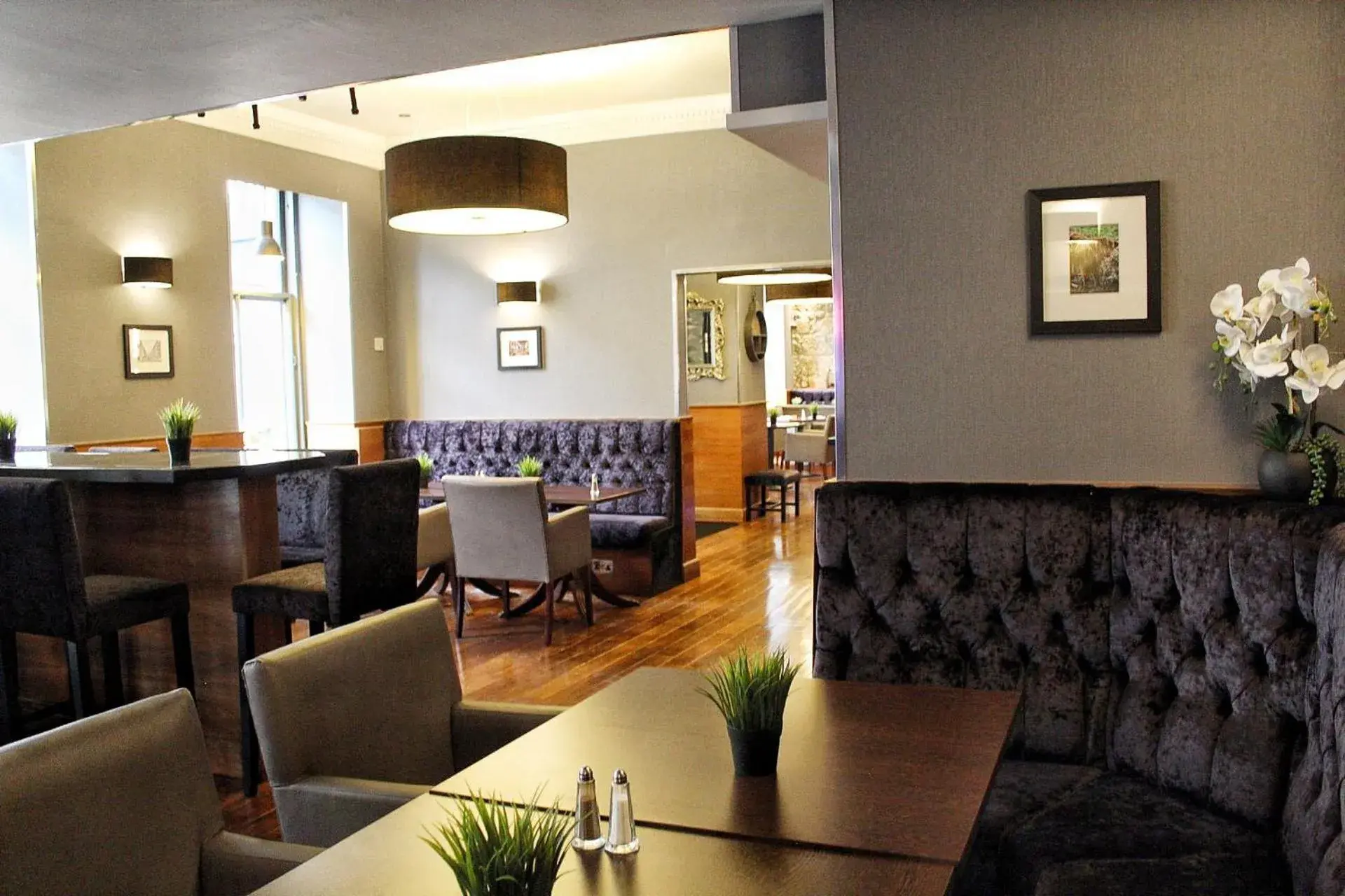 Lounge/Bar in Devoncove Hotel Glasgow