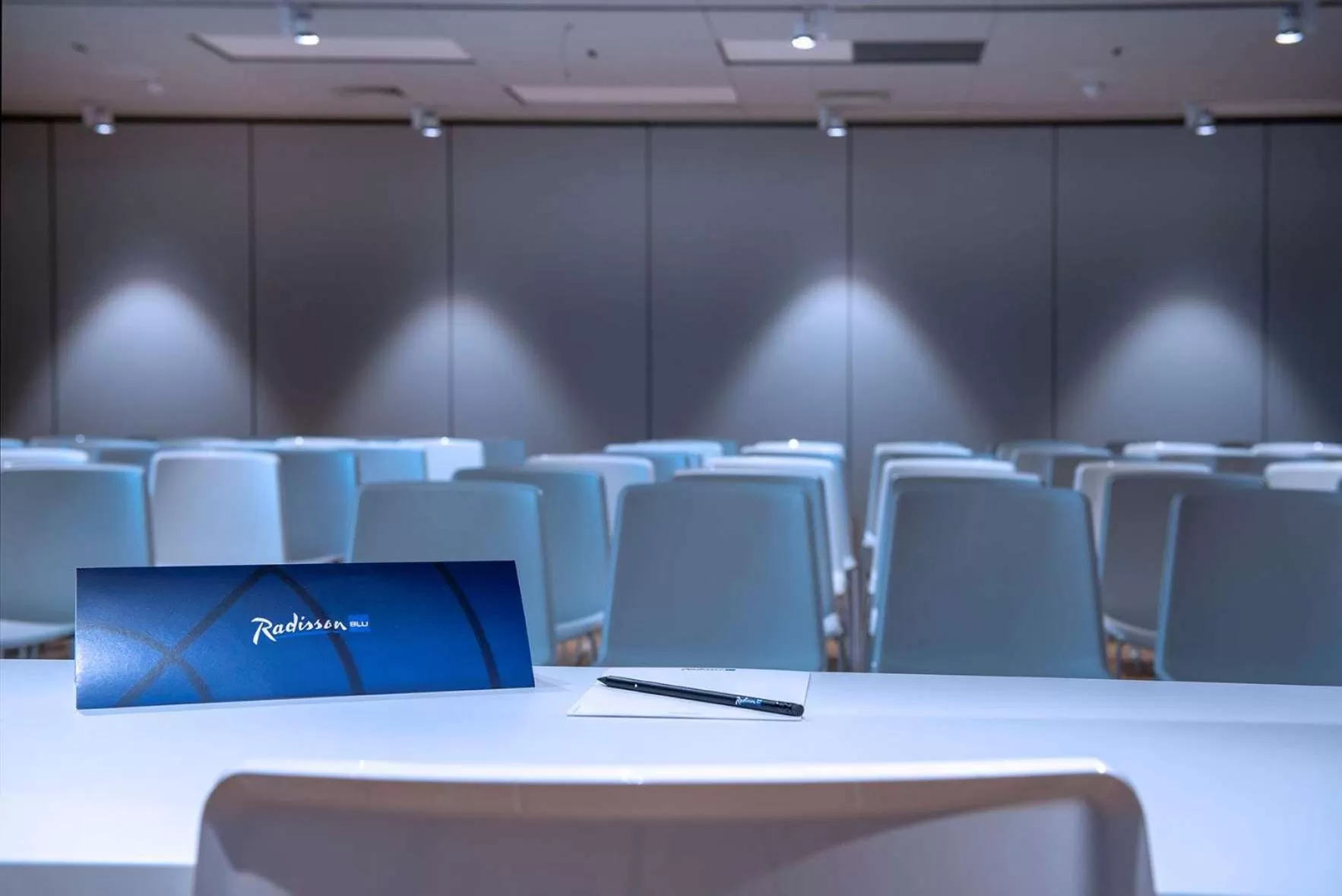 On site in Radisson Blu Hotel Bordeaux