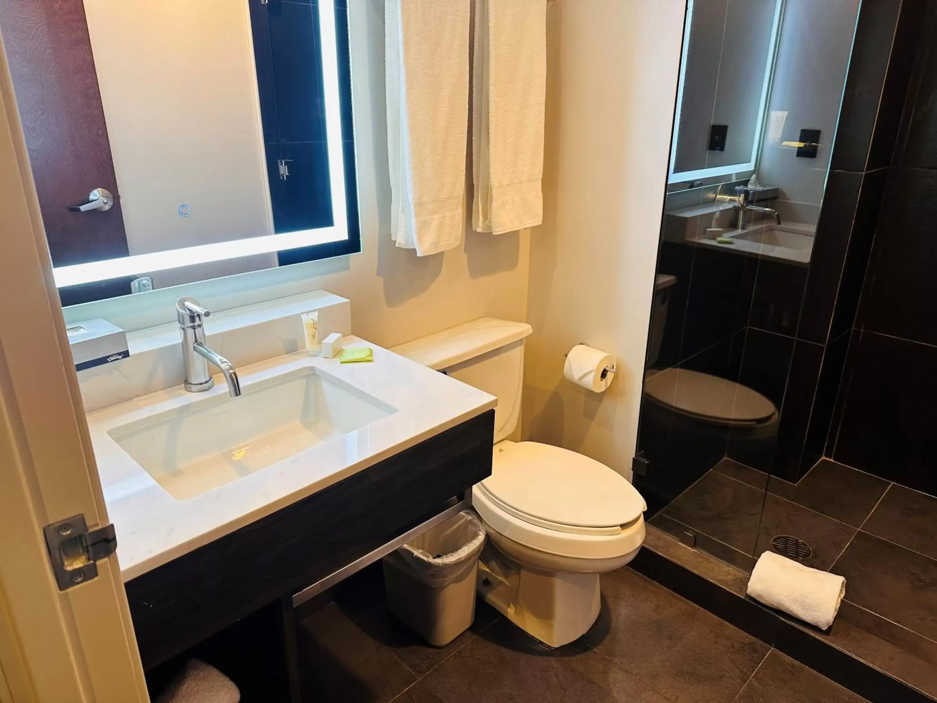 Bathroom in Holiday Inn Express Mexico City Satelite, an IHG Hotel