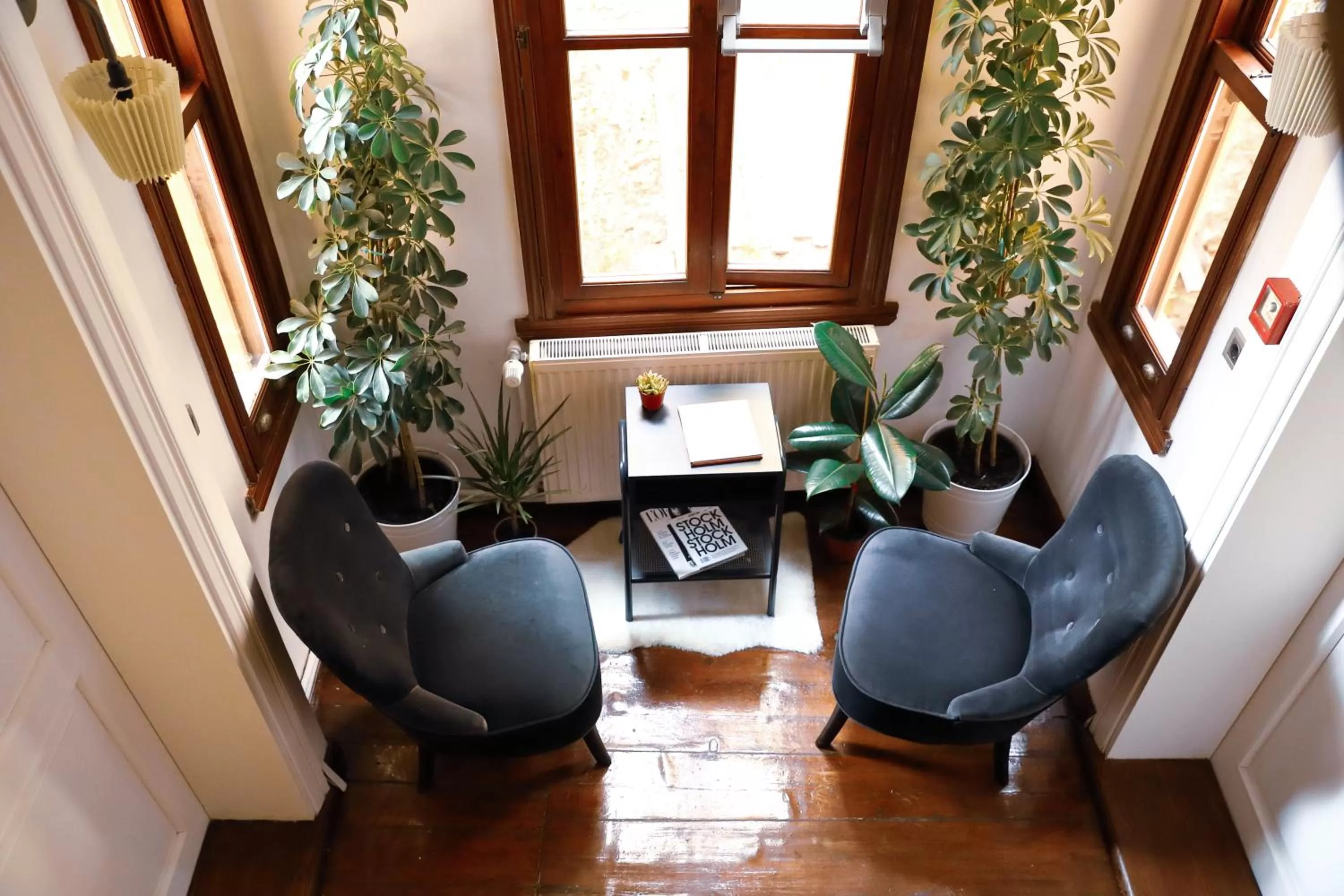 Living room in House MOLA Galata