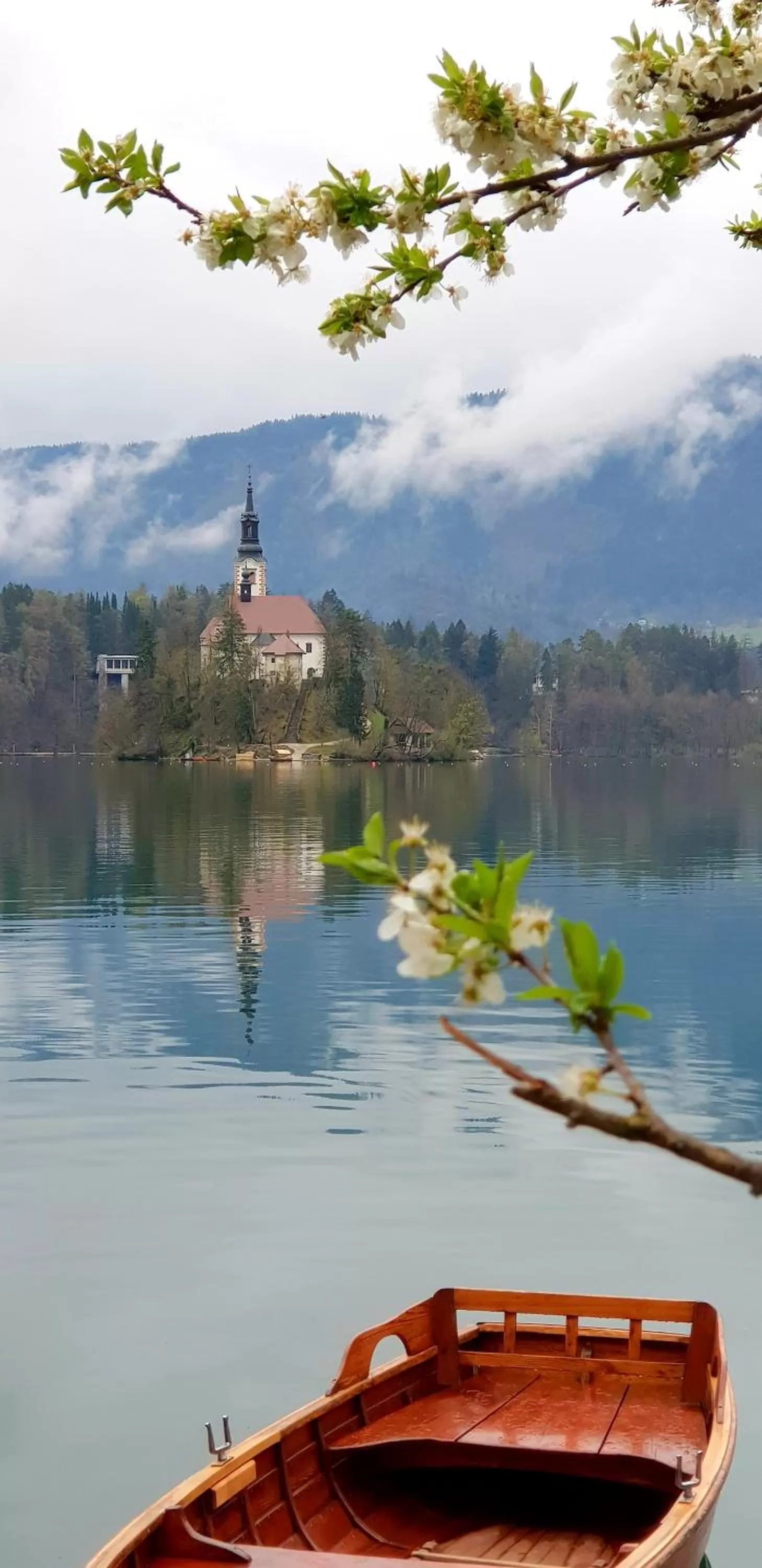 Area and facilities in Hotel GH Kolinska