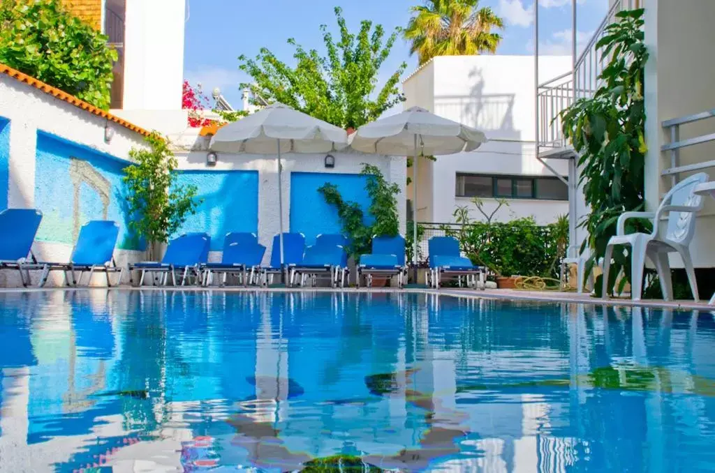 Swimming Pool in Hotel Koala