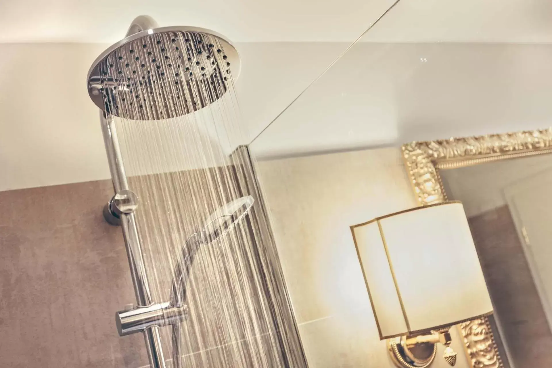 Shower, Bathroom in Hotel Leon d'Oro