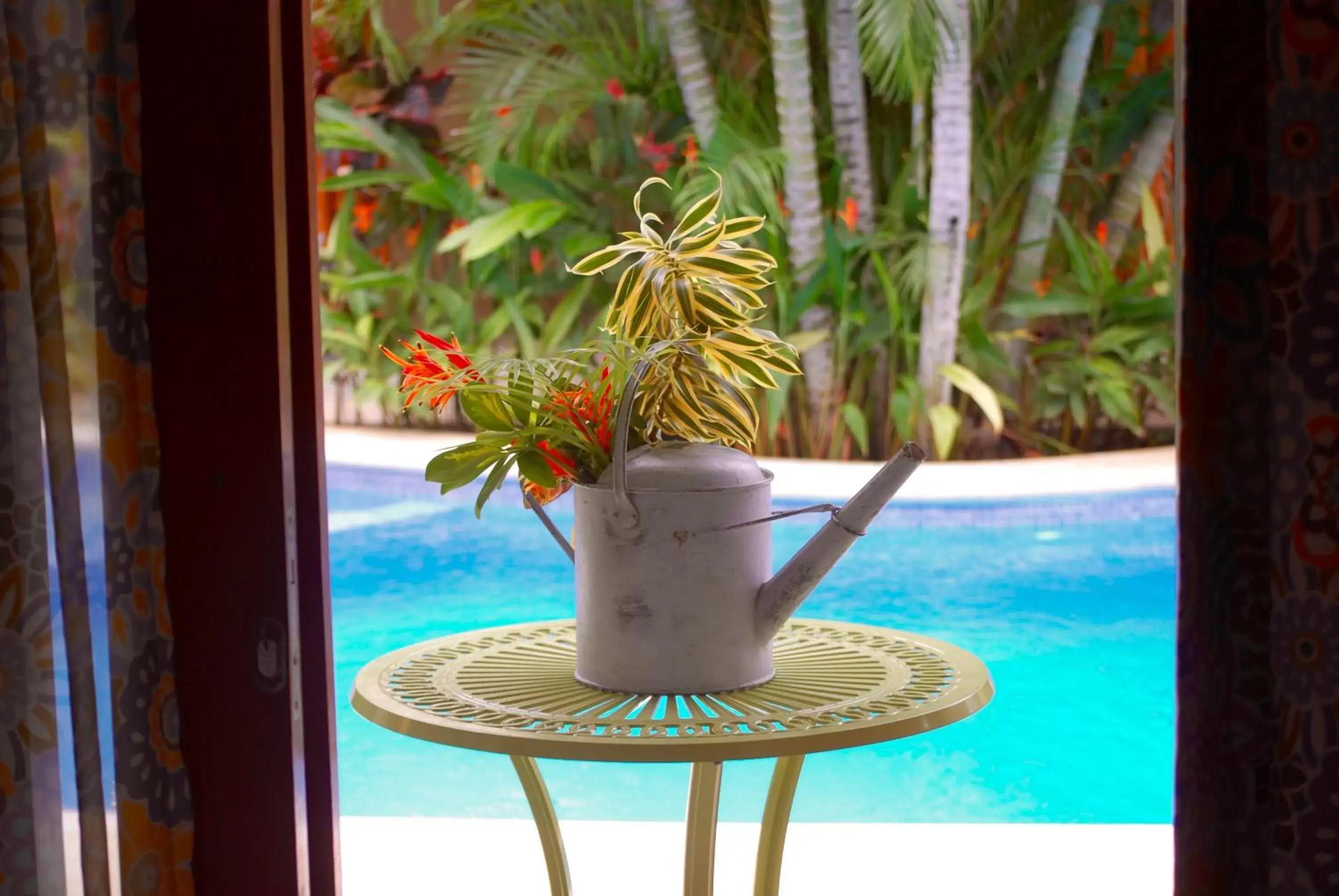 Other, Swimming Pool in Ten North Tamarindo Beach Hotel