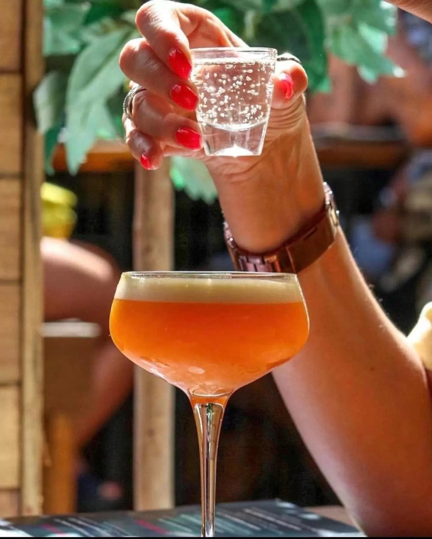 The Sea Lounge Accomodation