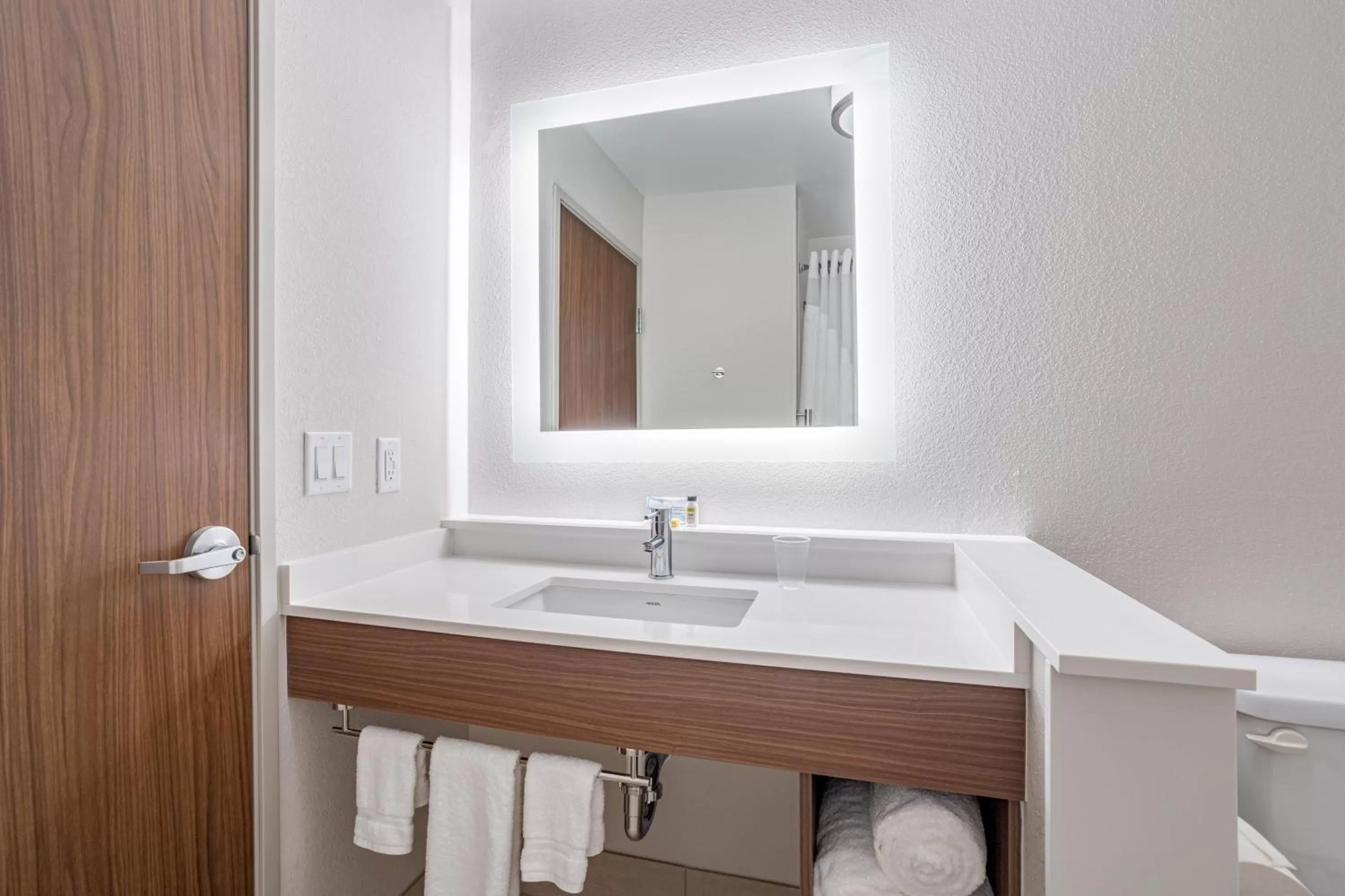 Bathroom in Holiday Inn Express & Suites - Elkhart North by IHG