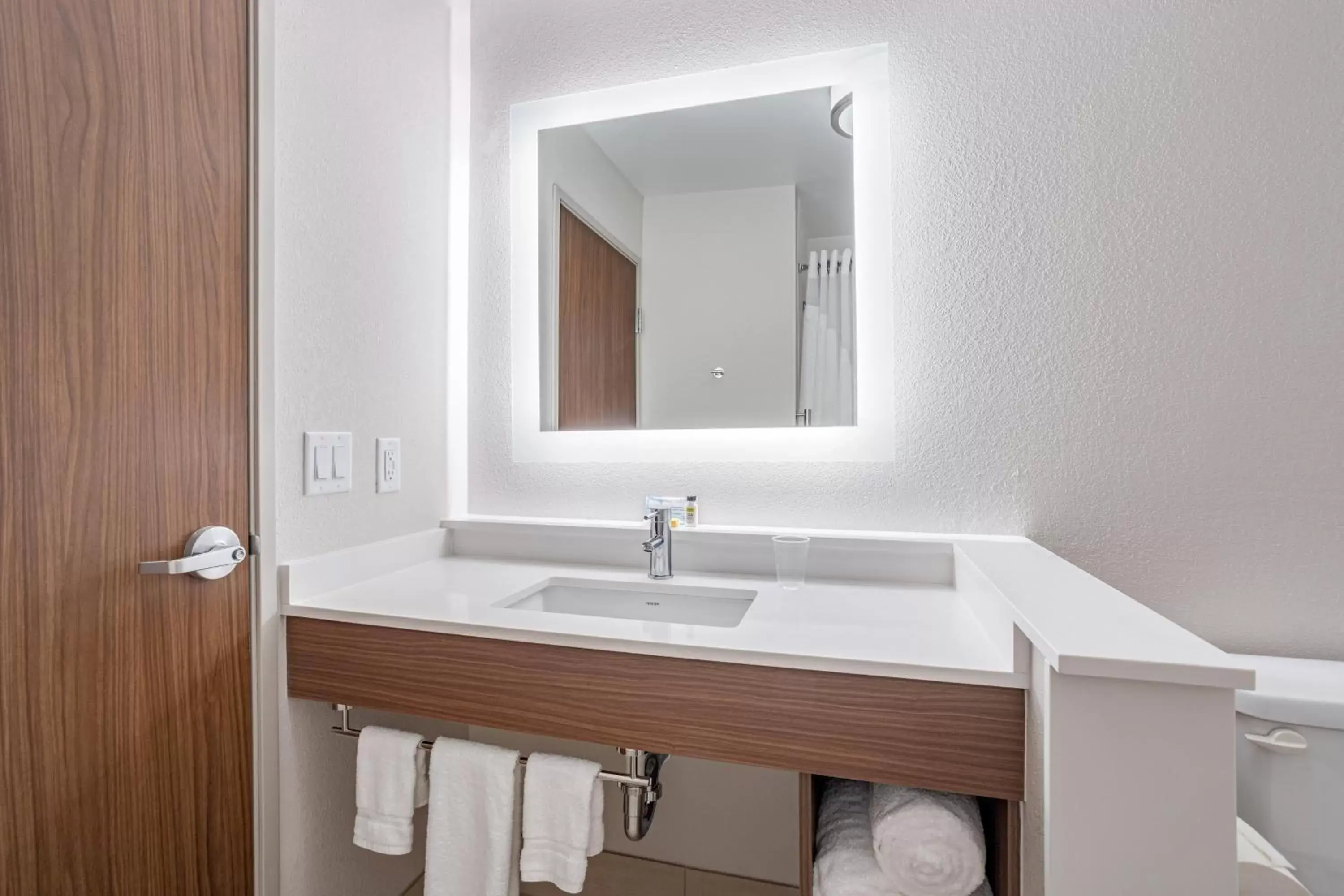 Bathroom in Holiday Inn Express & Suites - Elkhart North, an IHG Hotel