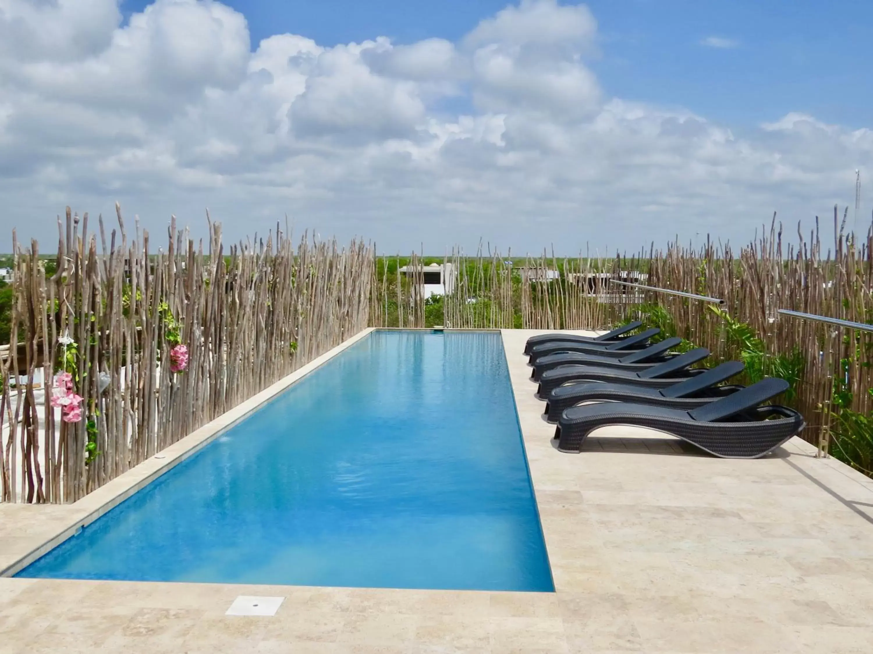 Pool view, Swimming Pool in Hotel CARPE DIEM Tulum by Nah Hotels