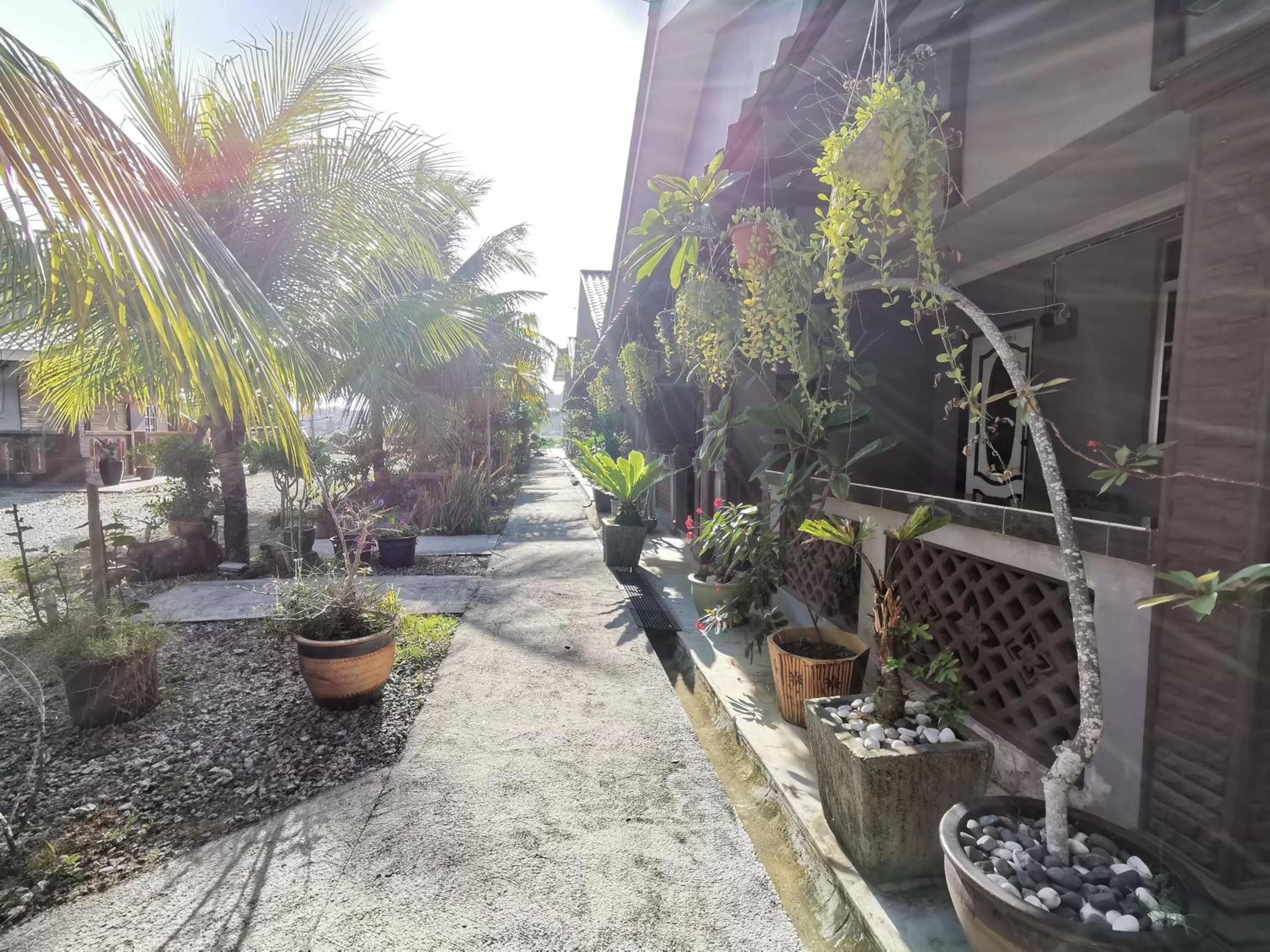 Garden in Cenang Room Rahsia Motel